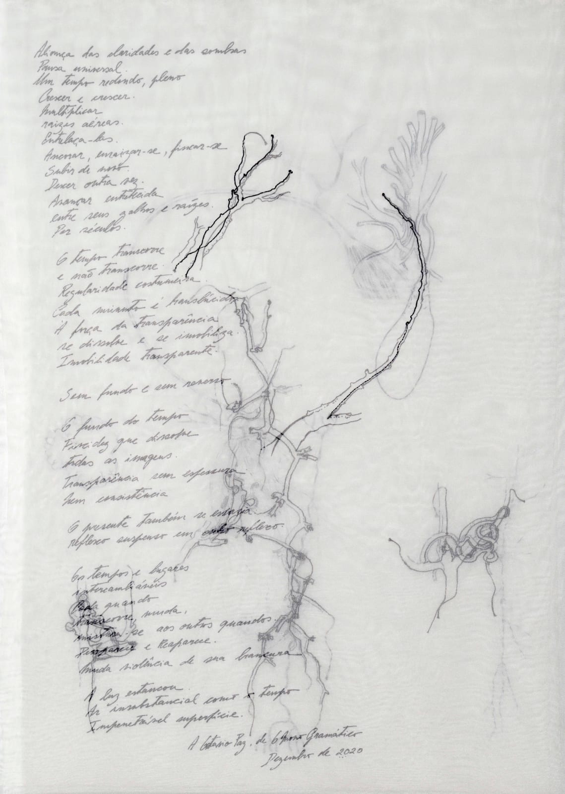 Liliane Dardot, Série Verso Reverso, 2022