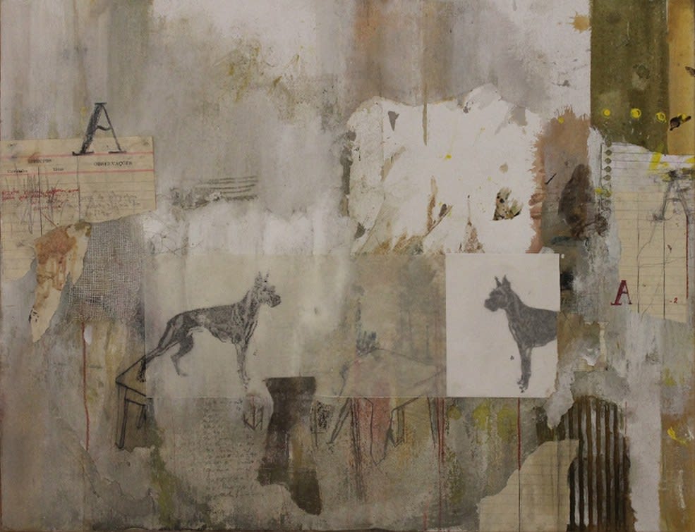 Daniel Bilac, Sem título, 2008