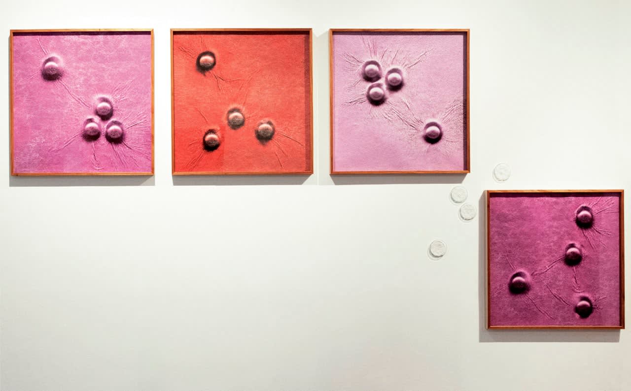 Ana Maria Tavares, Azulejos Poros (da série Condomínios), 2013