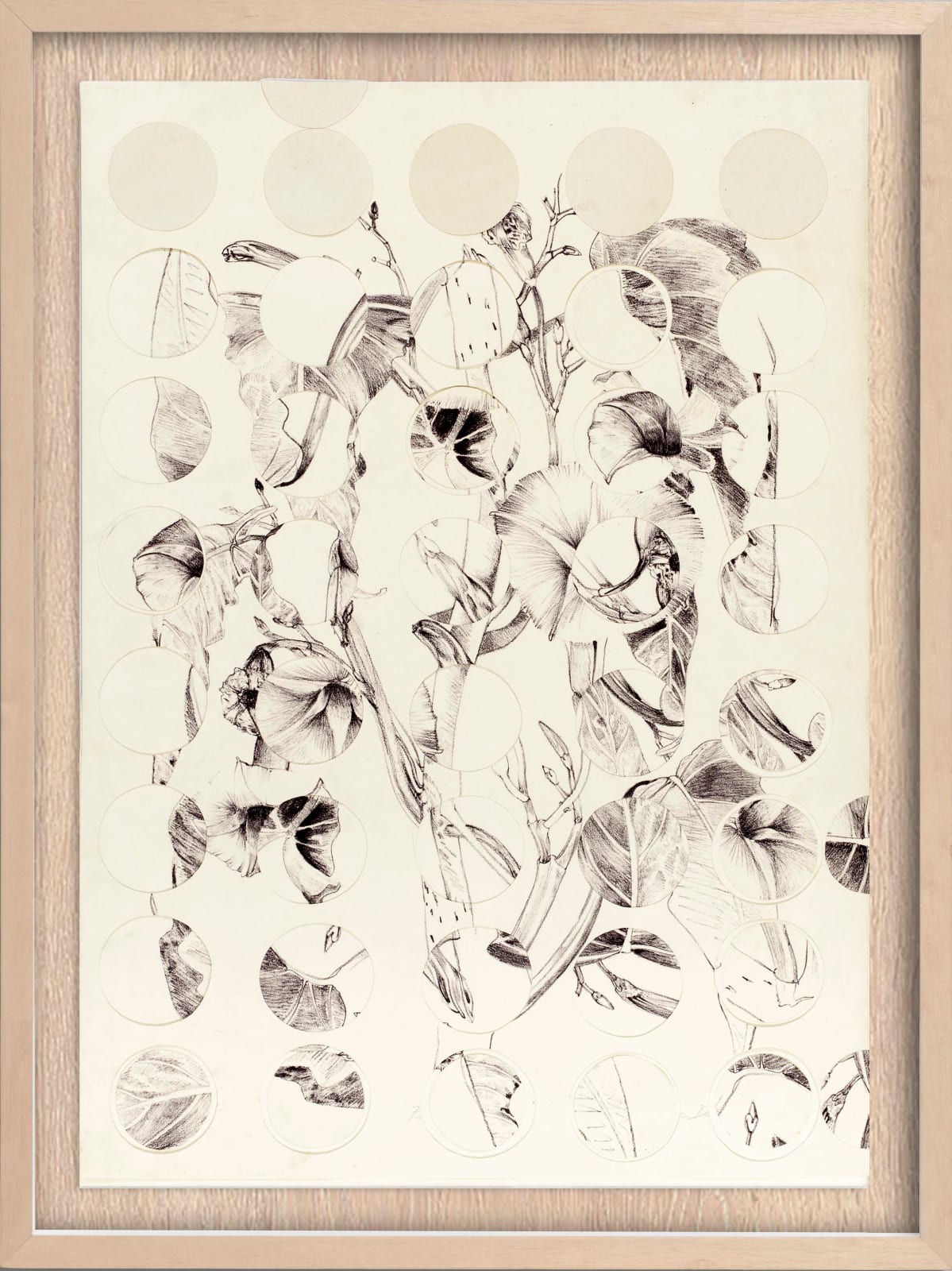 Liliane Dardot e Marcelo Silveira, na Flor do mato, 1985/2025