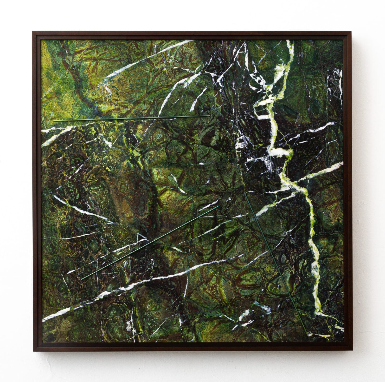 Ana Maria Tavares, Barragem I (Forest Green), 2019