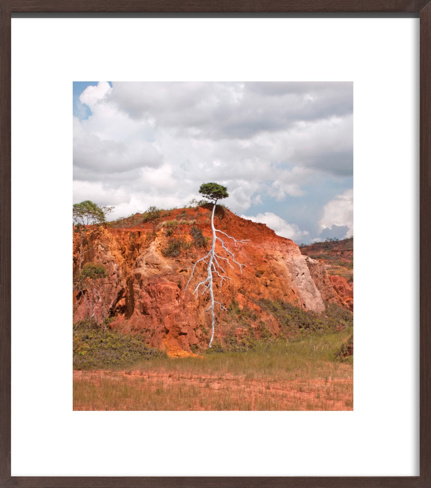 Pedro Motta, Sem título - Série Natureza das Coisas, 2013