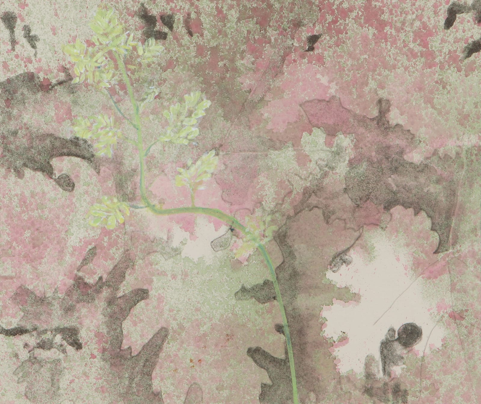 Bob Davison, Macleaya Flower Head II, 2024