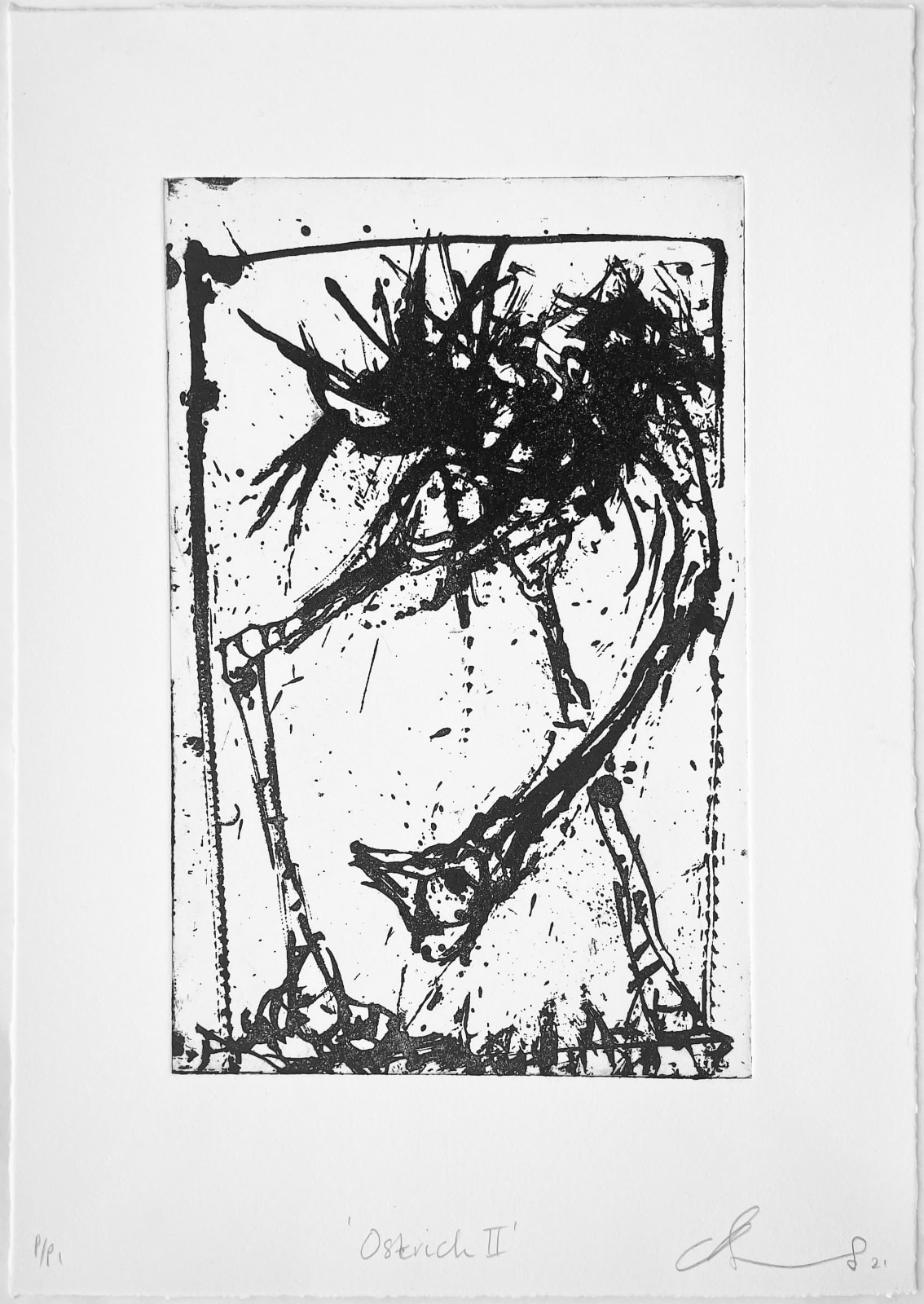 Chris Burns, Ostrich 2, 2021