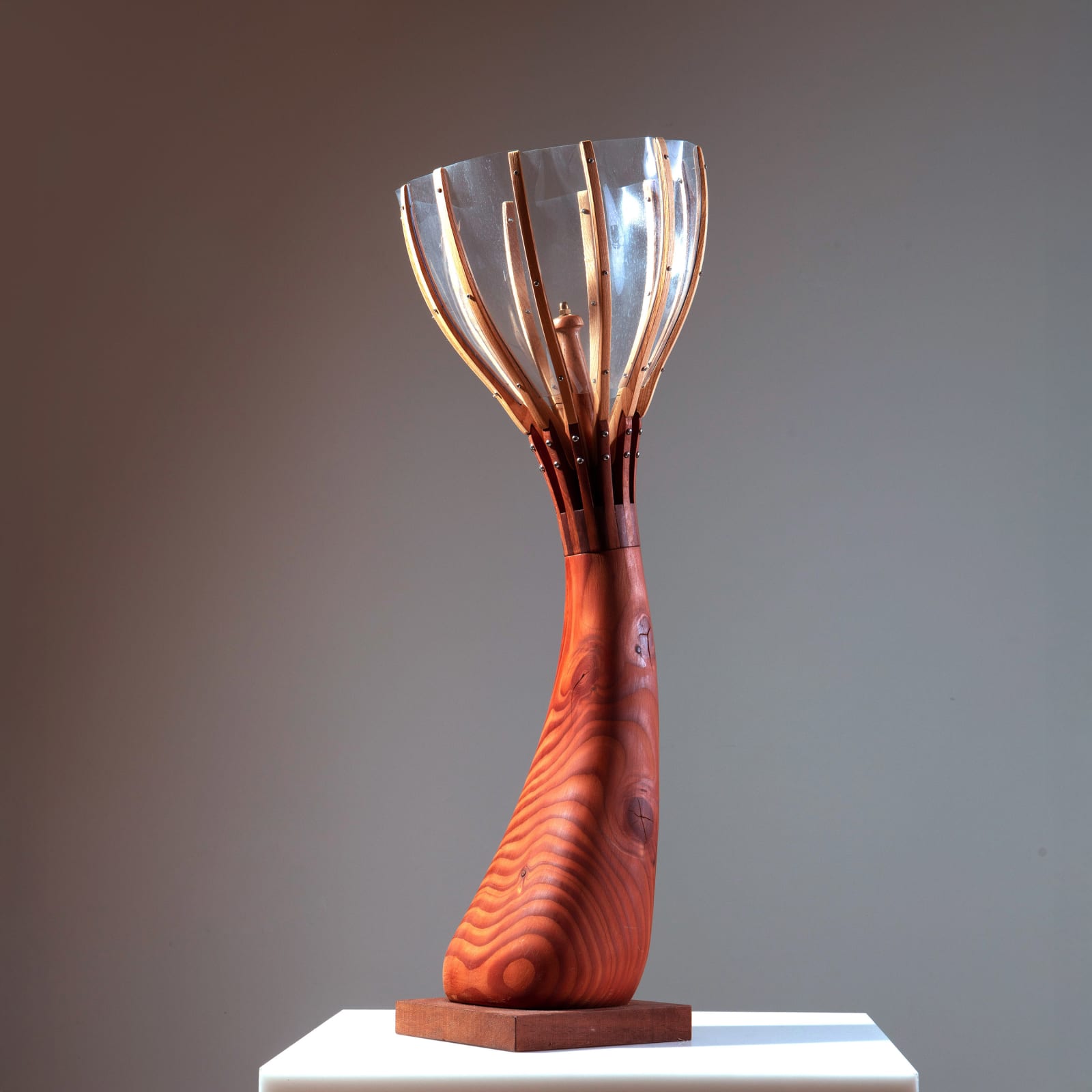 Simon Tayler, Flux 2