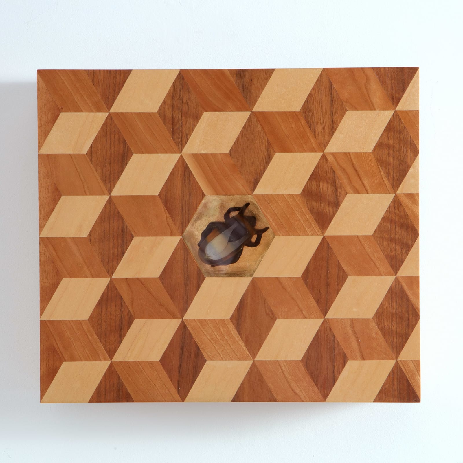 Steven Hubbard, The Bee, 2004