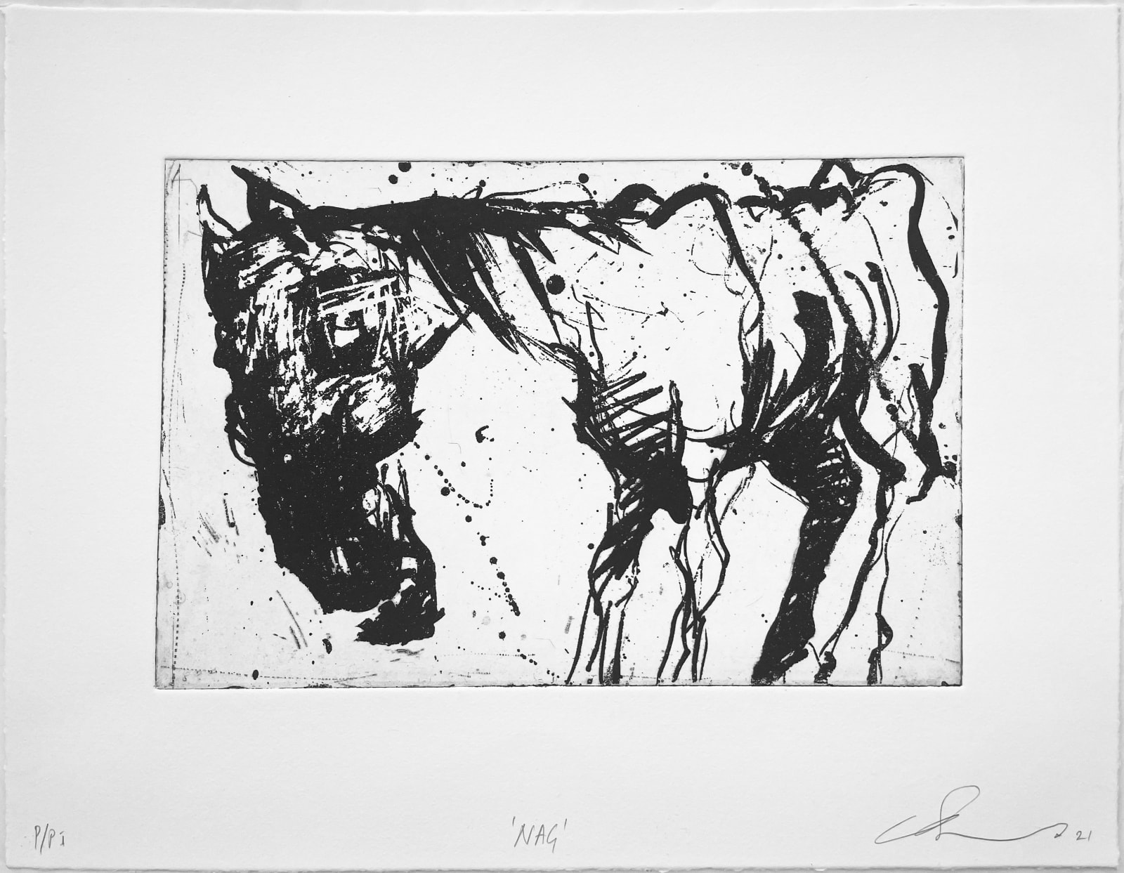 Chris Burns, Nag, 2021