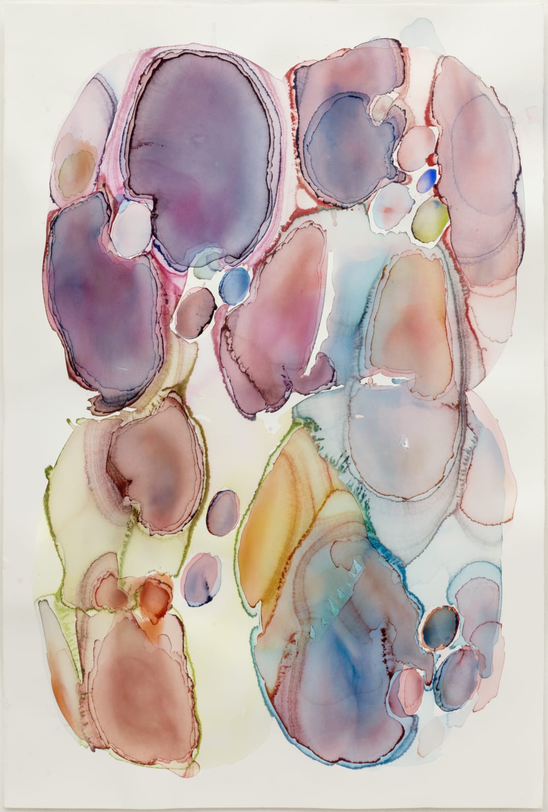 Barbara Nicholls, 'Residue no 06', 2012