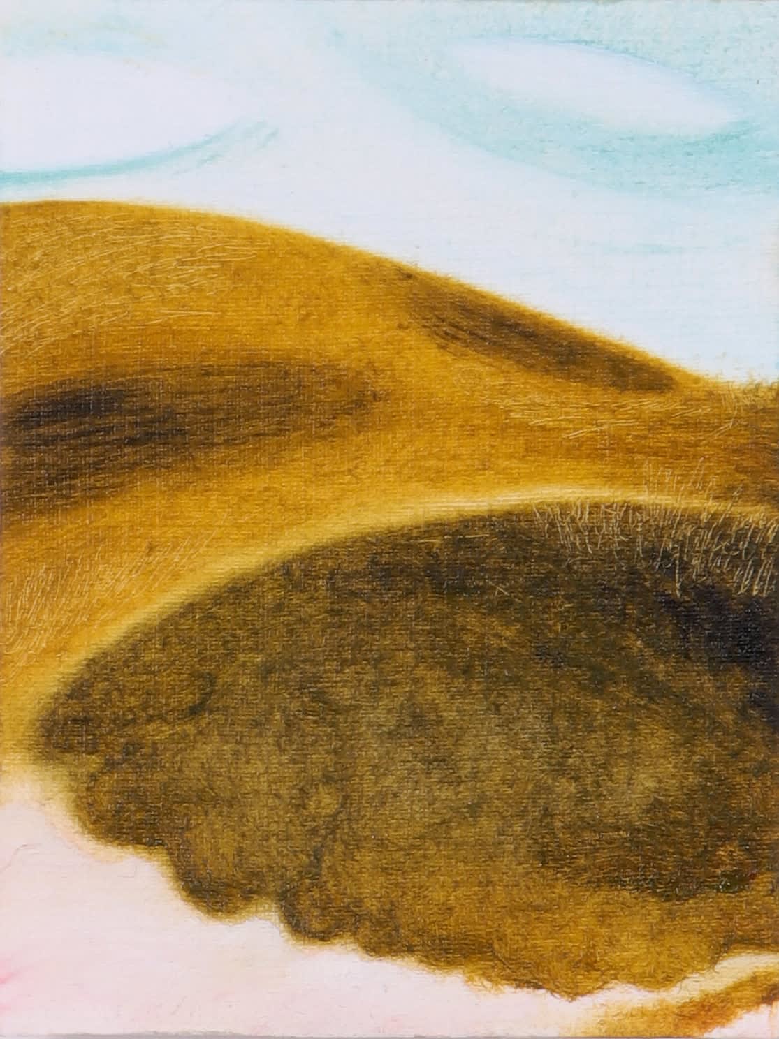 Nicola Organ, Cumulus Visitors, 2024