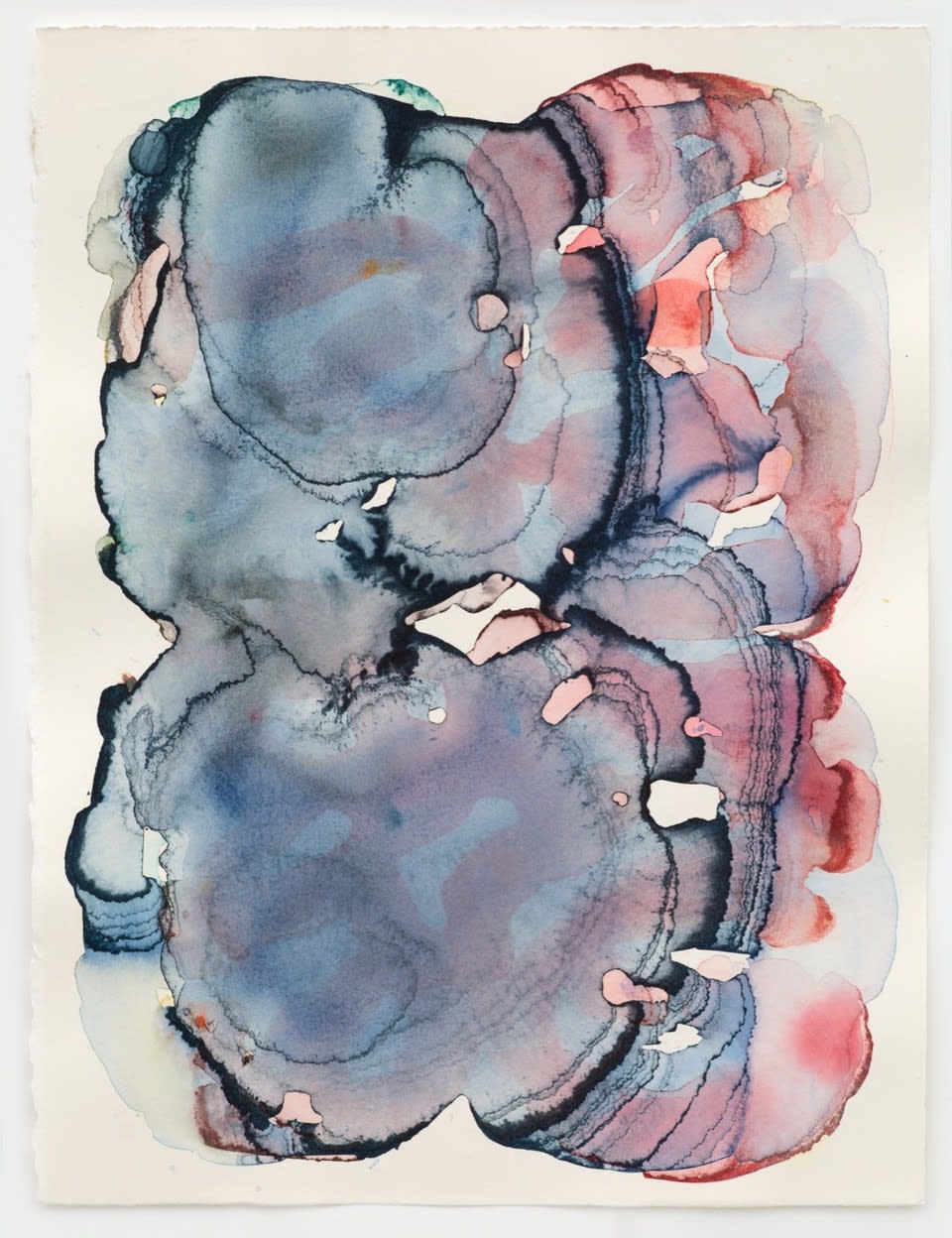 Barbara Nicholls, 'Clasp Lay', 2016