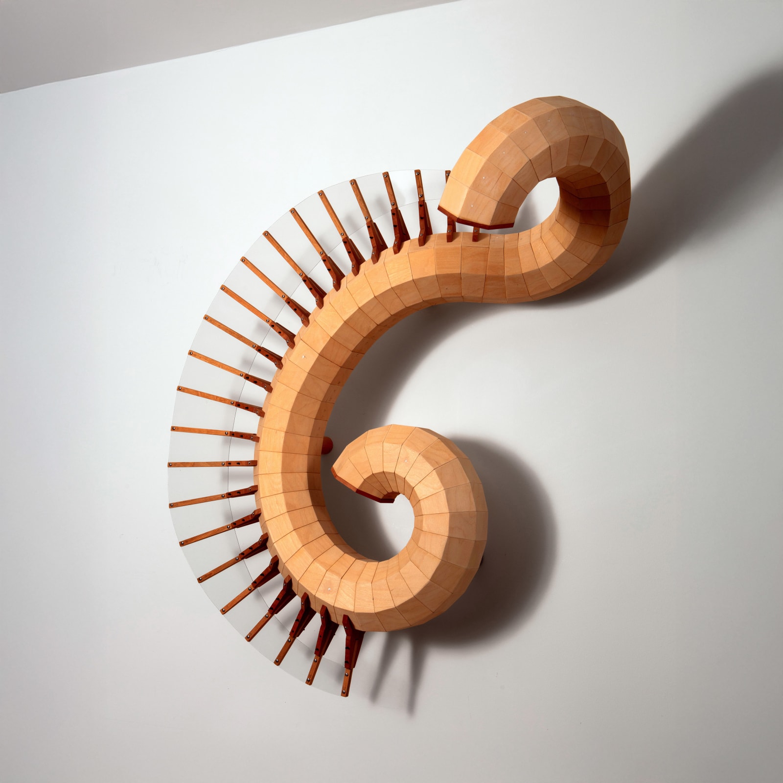 Simon Tayler, Cusp