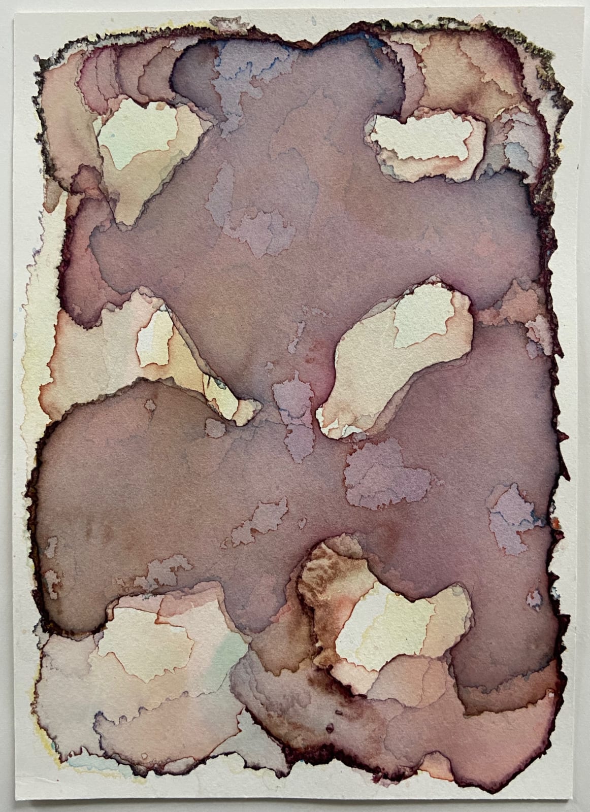 Barbara Nicholls, Particle Studies no 40, 2020