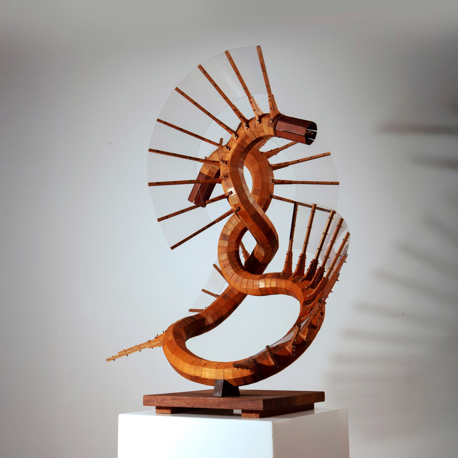 Simon Tayler, Lemniscate