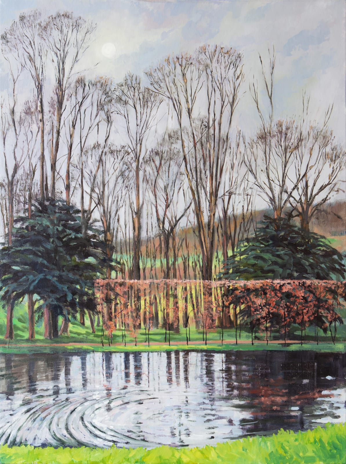 Angie Spencer, Swan Pond, February Light, 2023