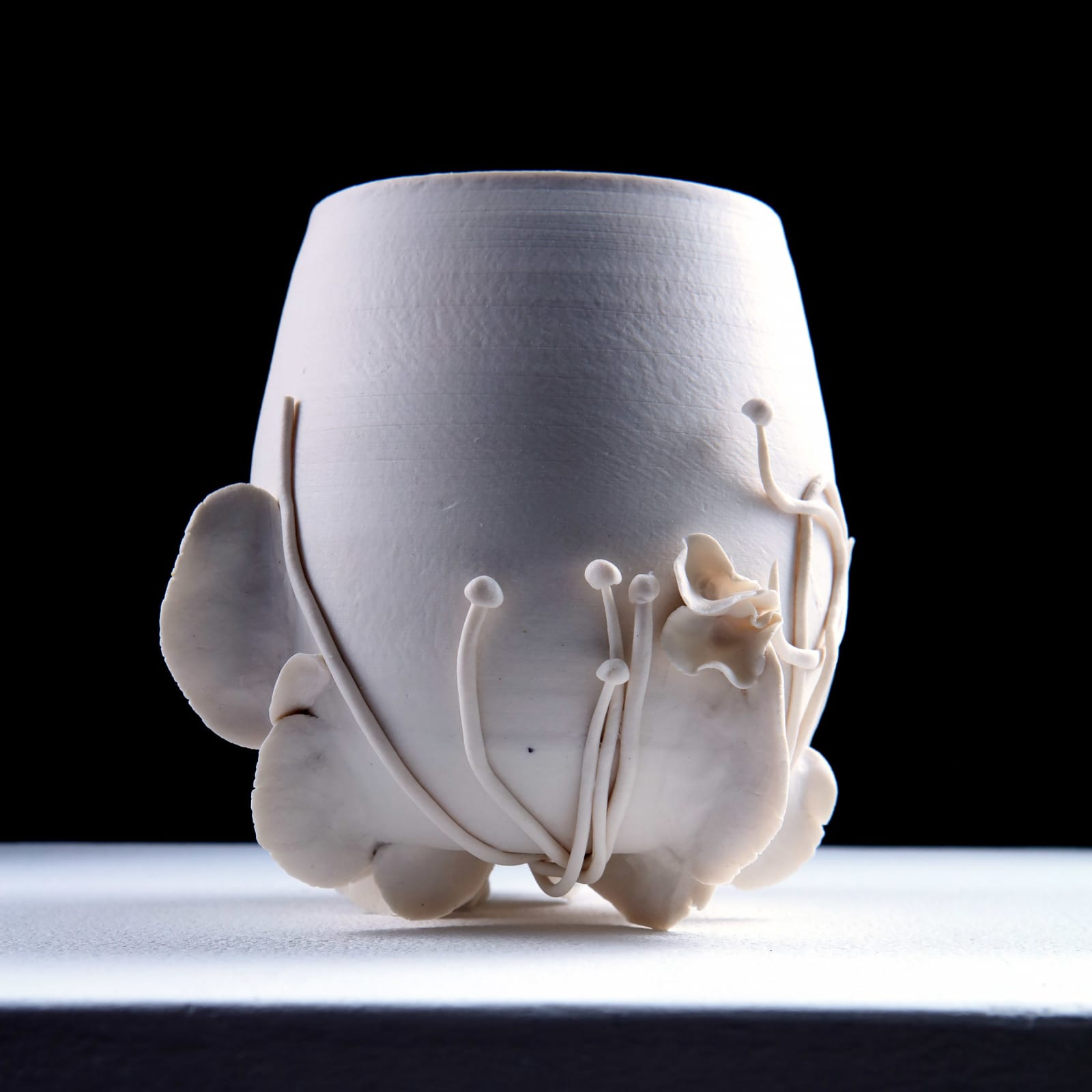 Anna Simson, Repossession Series, 2024