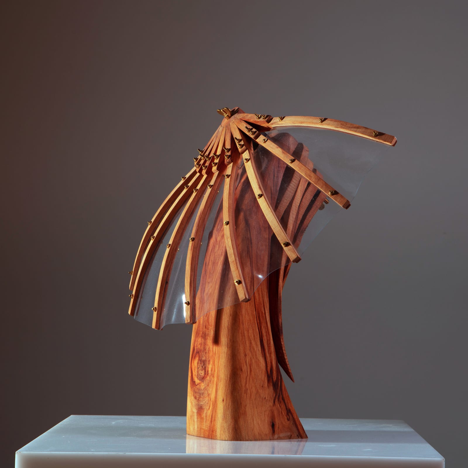 Simon Tayler, Looking Back