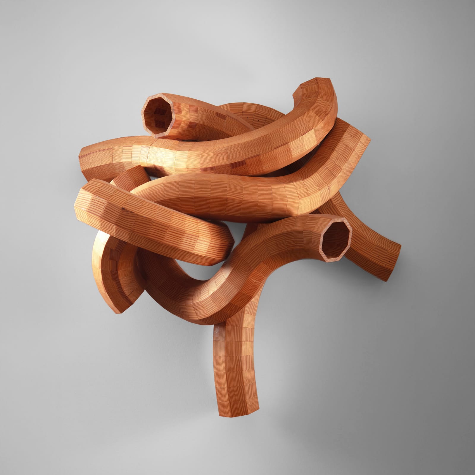 Simon Tayler, The Knot