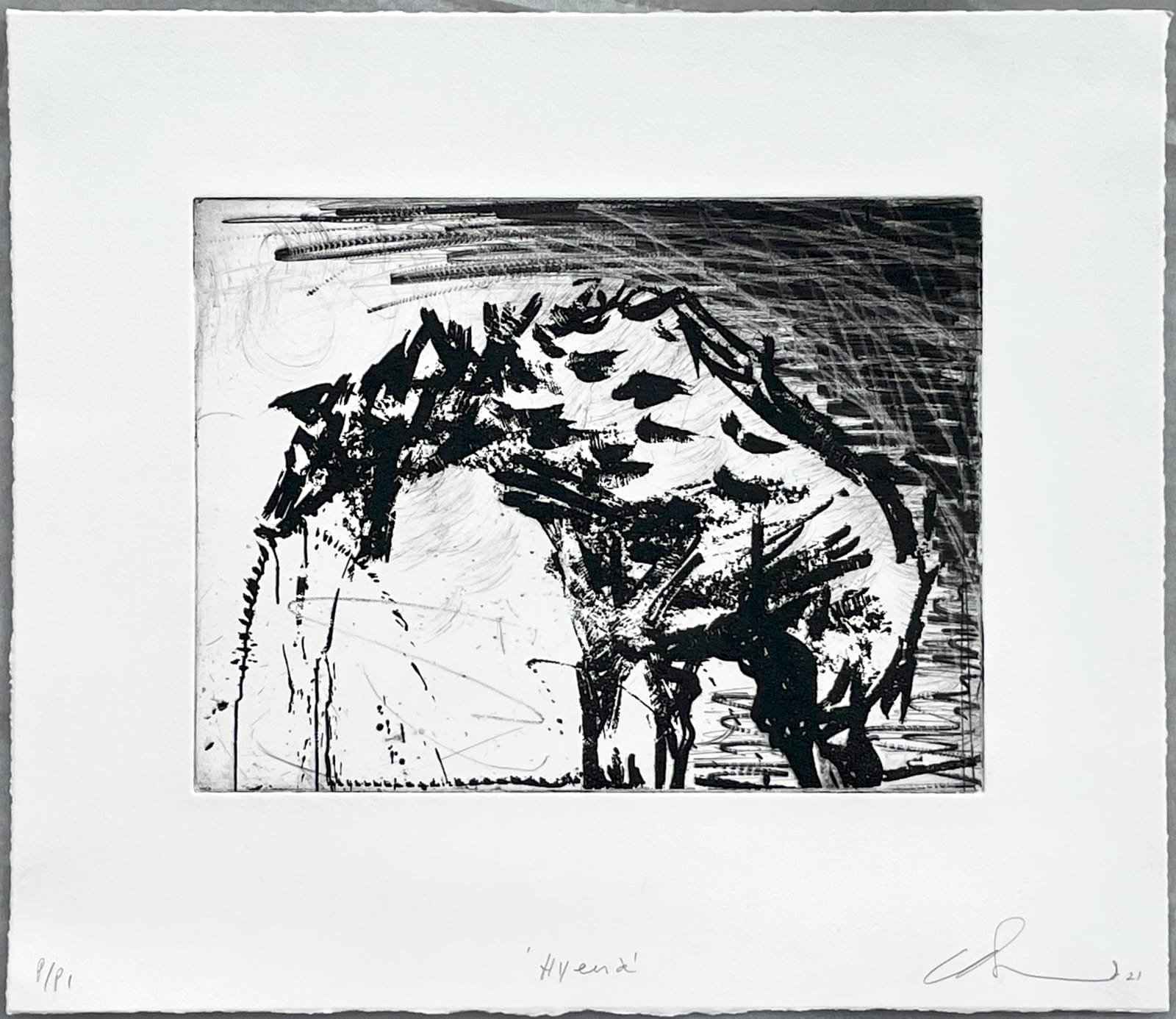 Chris Burns, Hyena, 2021