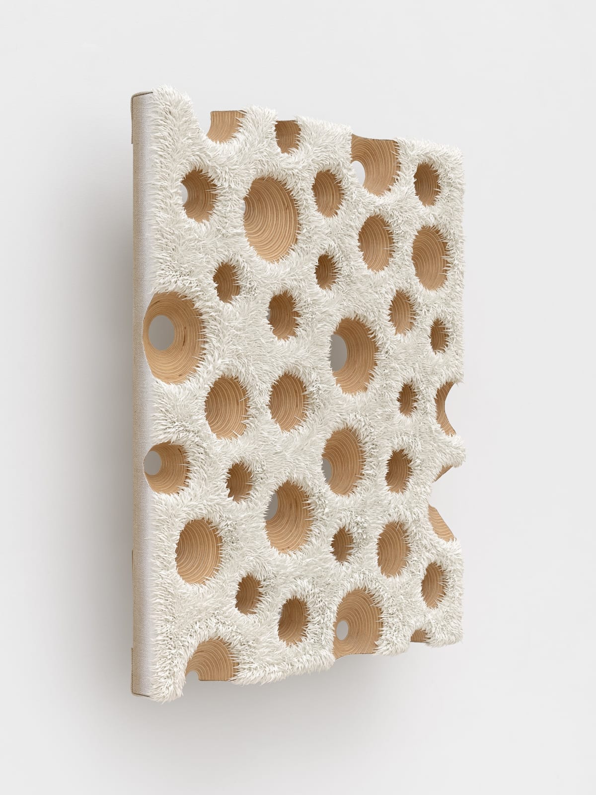 Donald Moffett, Lot 030525 (nature cult, arctic probe), 2025