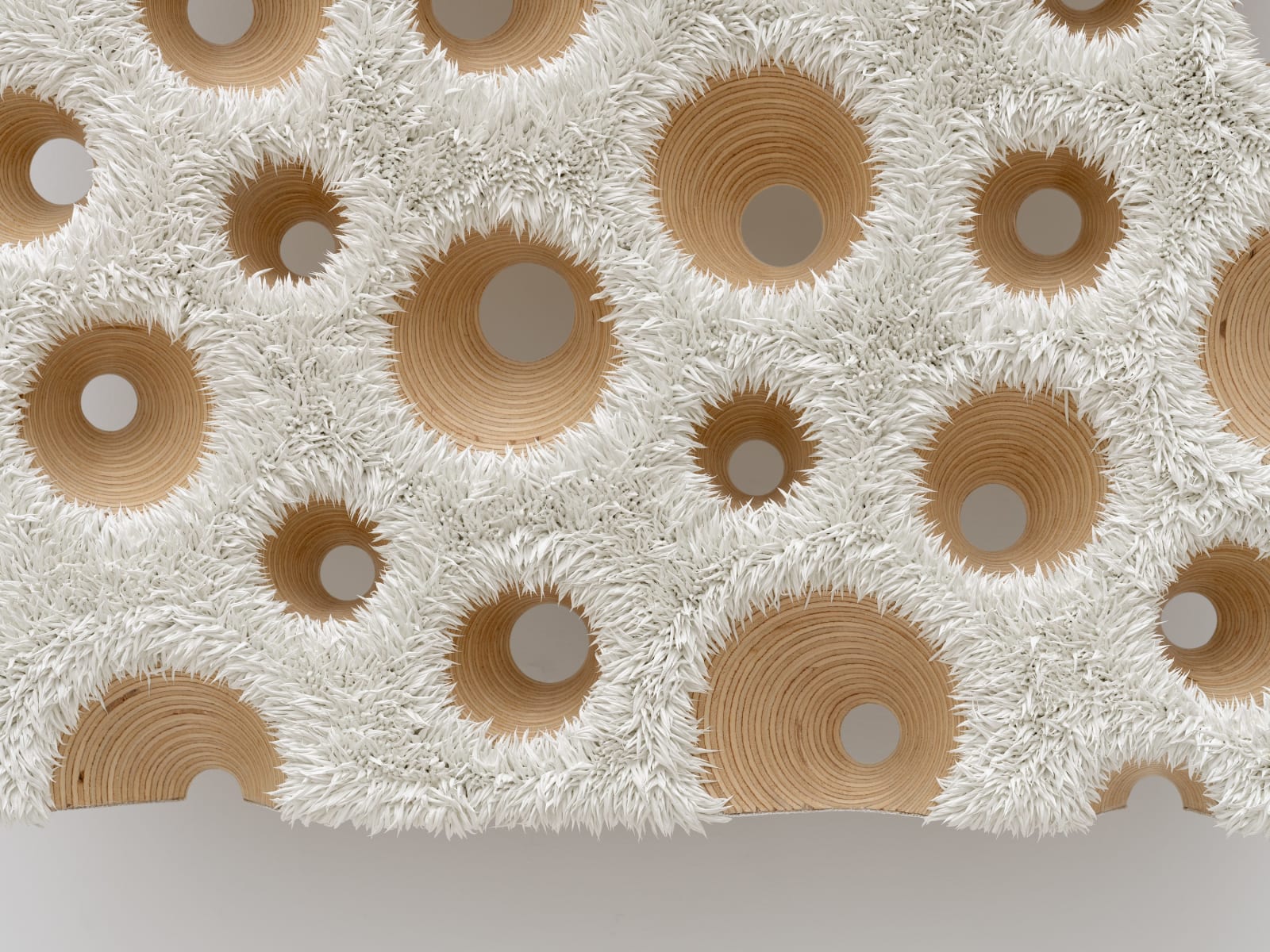 Donald Moffett, Lot 030525 (nature cult, arctic probe), 2025