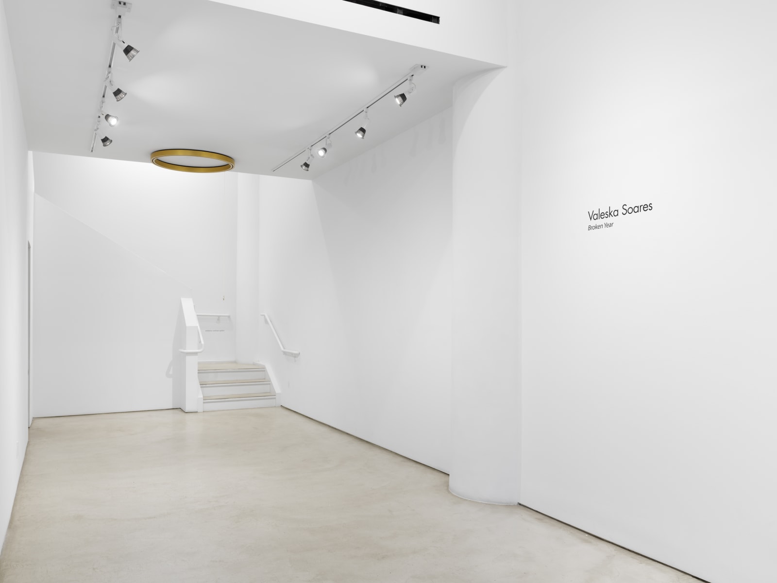 Valeska Soares, Ouroboros, 2014