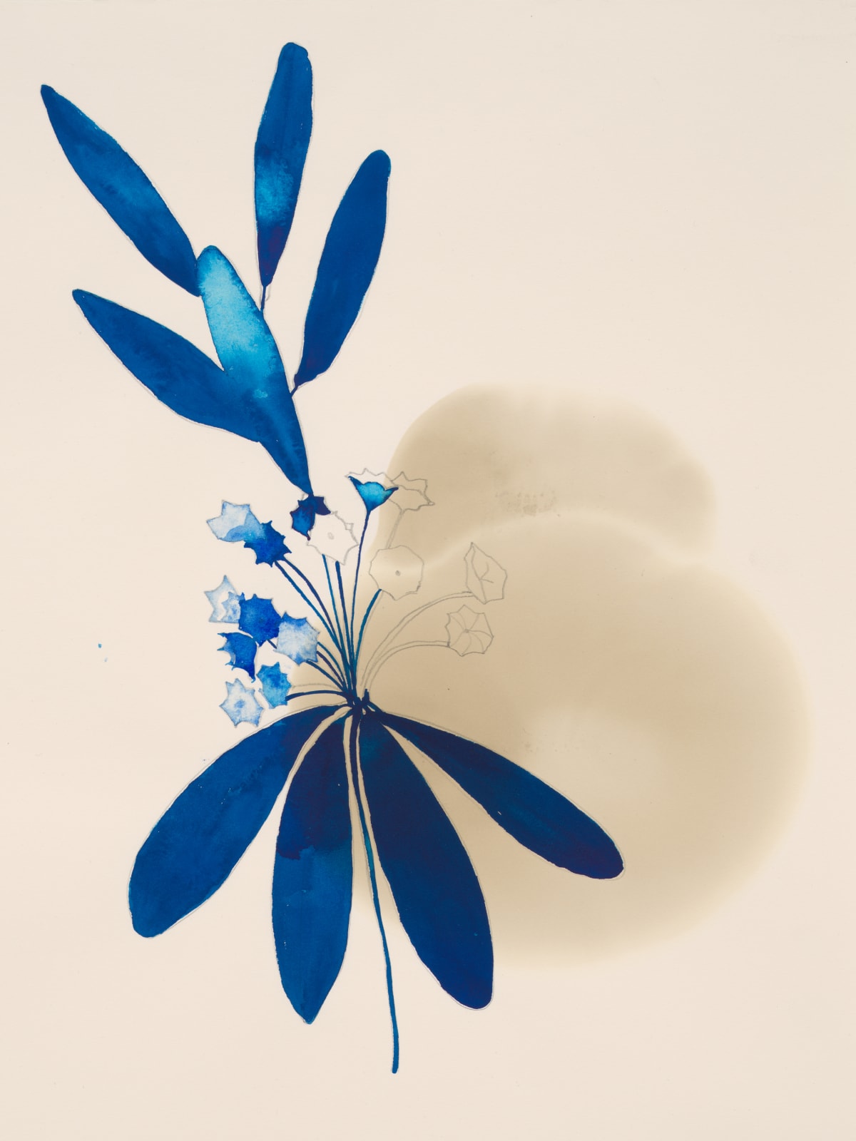 Ricardo Brey, Sheep Laurel, 2021