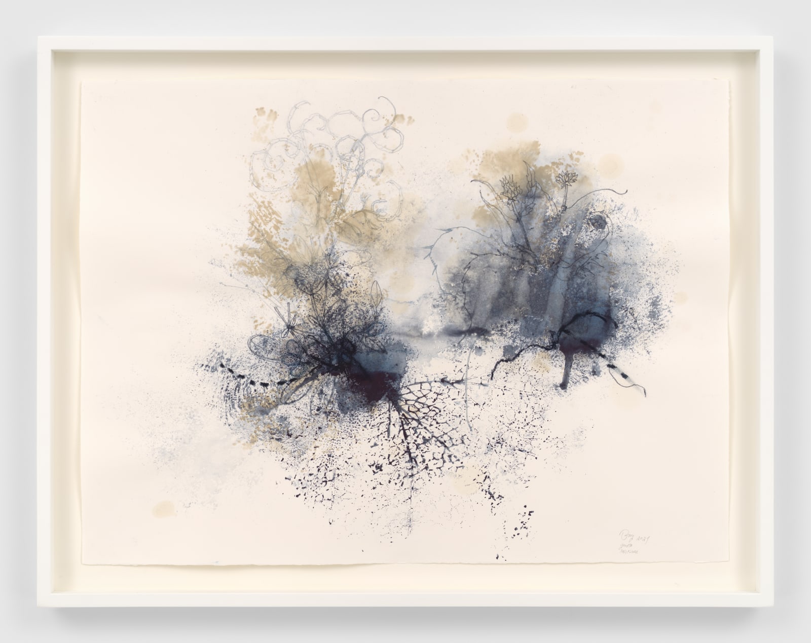 Ricardo Brey, Pasiflora, 2021