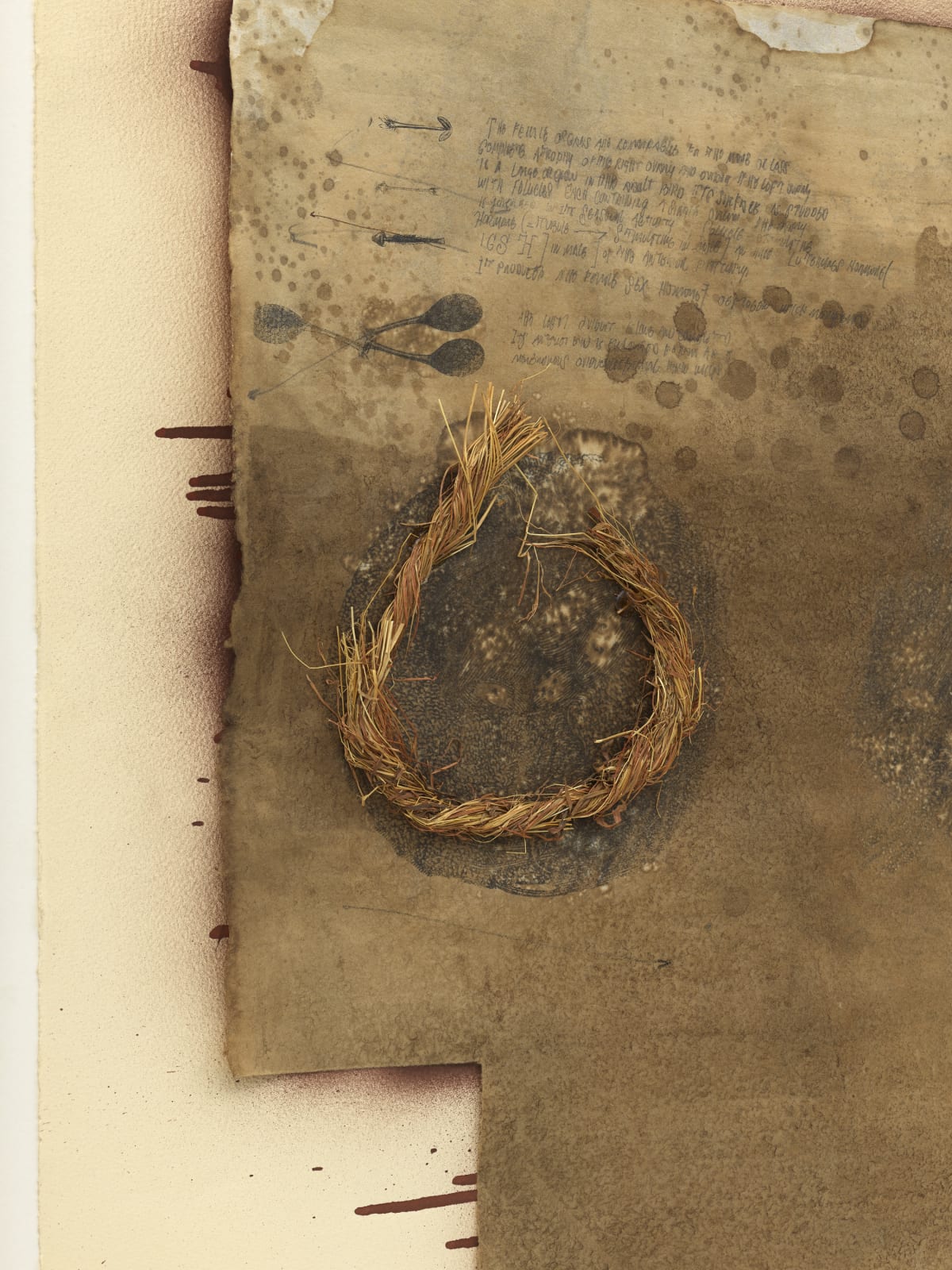 Ricardo Brey, Nest, 2003