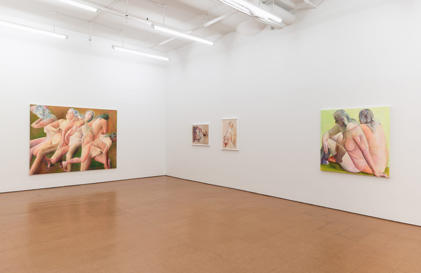 Joan Semmel, Transitions, 2012