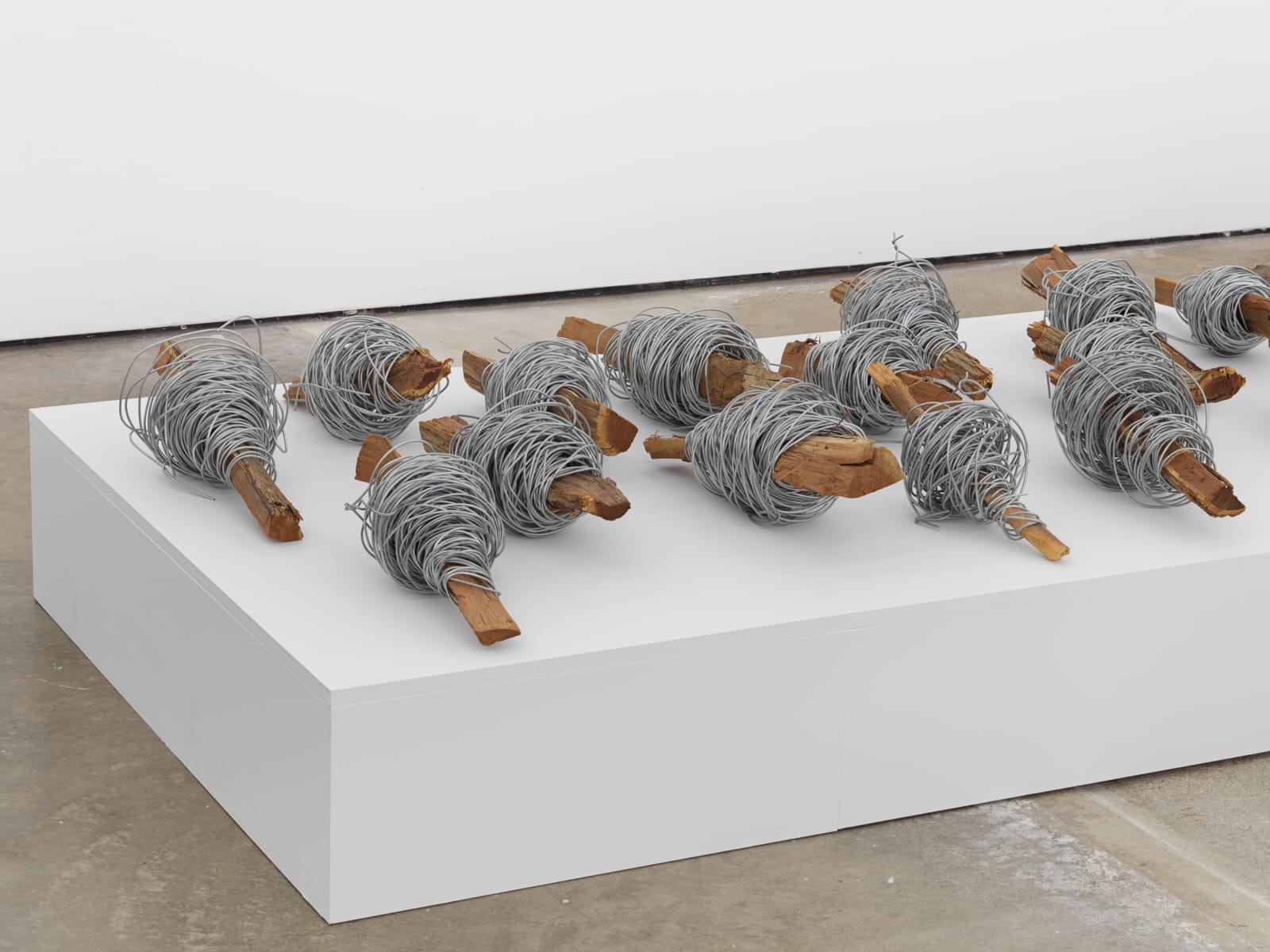 Hassan Sharif, Iron, 2013