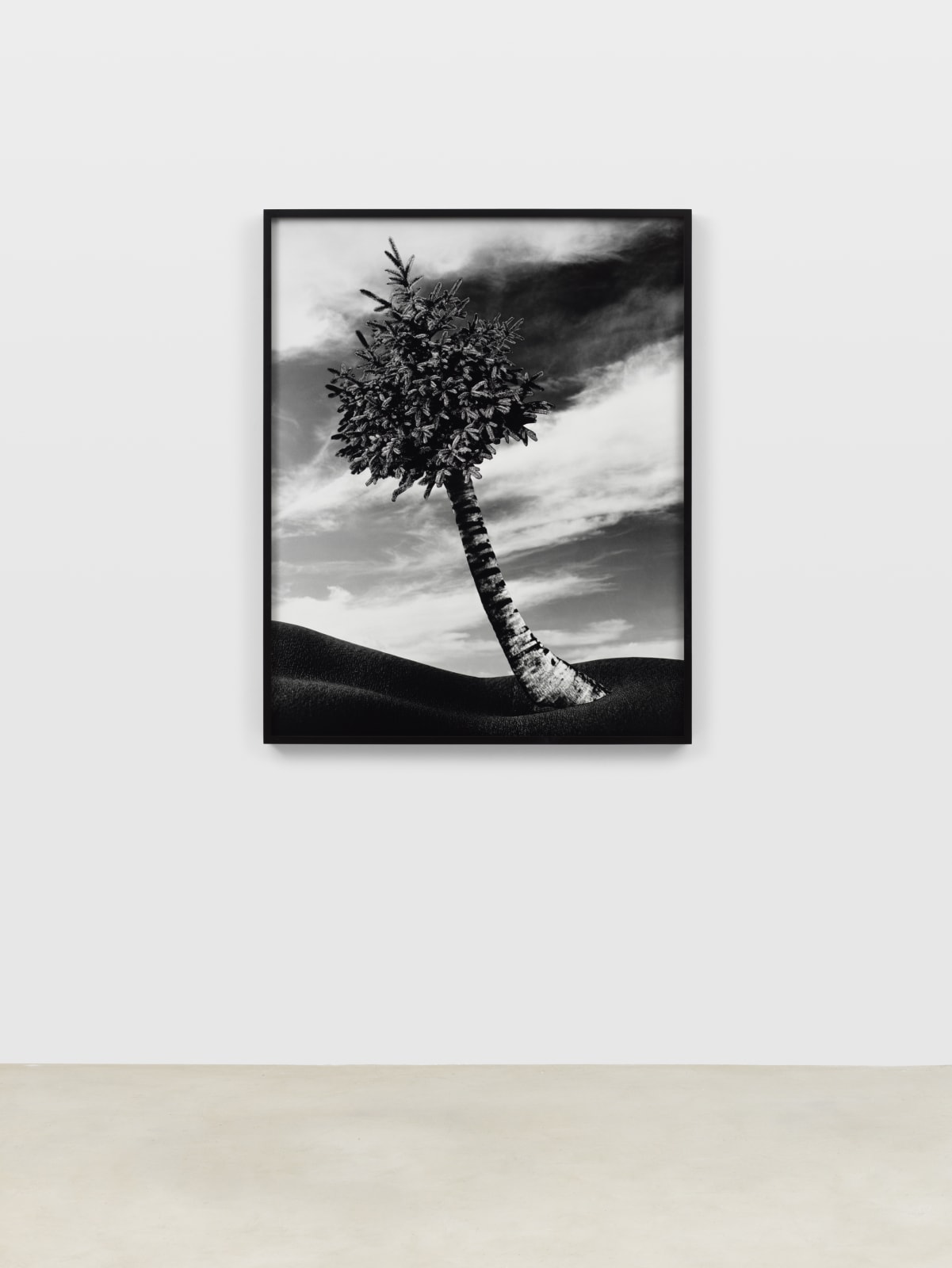 Lorraine O'Grady, The Fir-Palm, 1991/2019