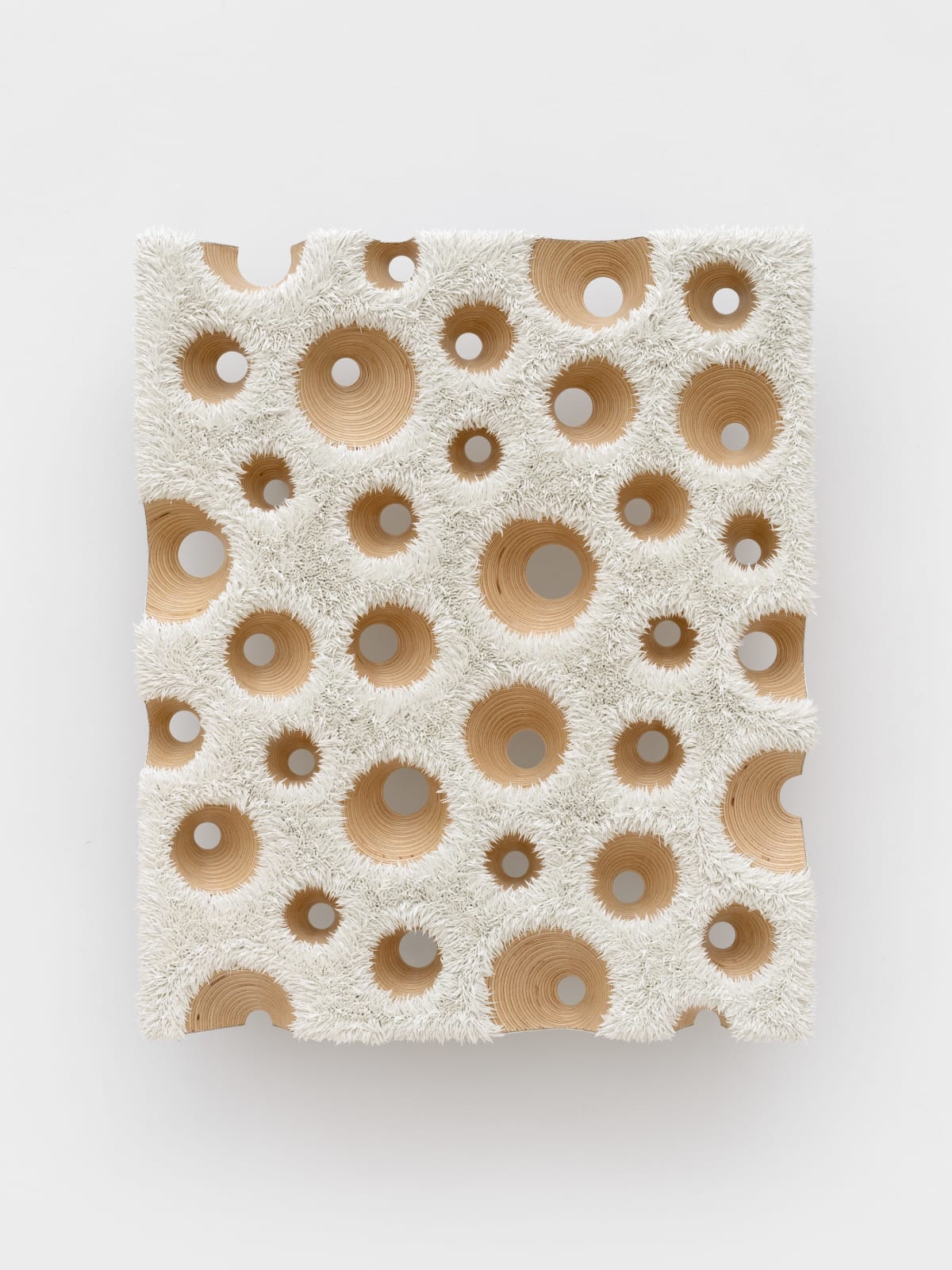 Donald Moffett, Lot 030525 (nature cult, arctic probe), 2025