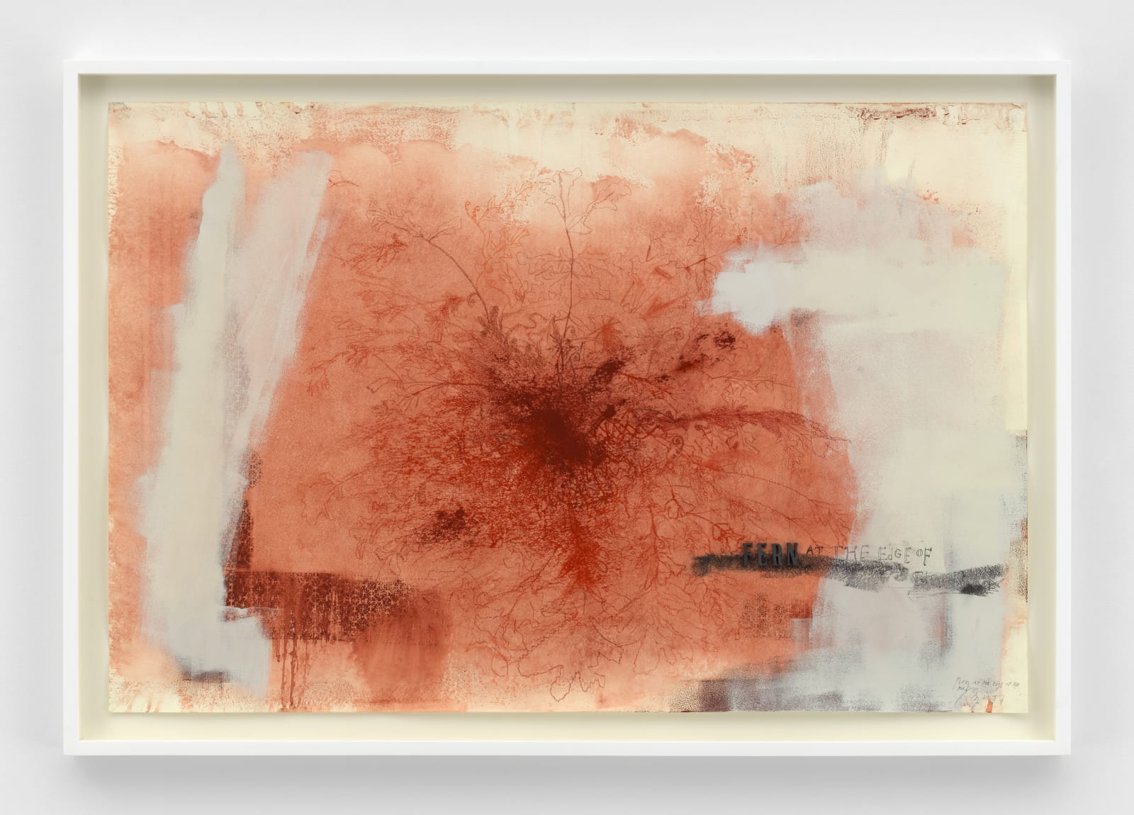 Ricardo Brey, Fern at the edge of the road, 2017