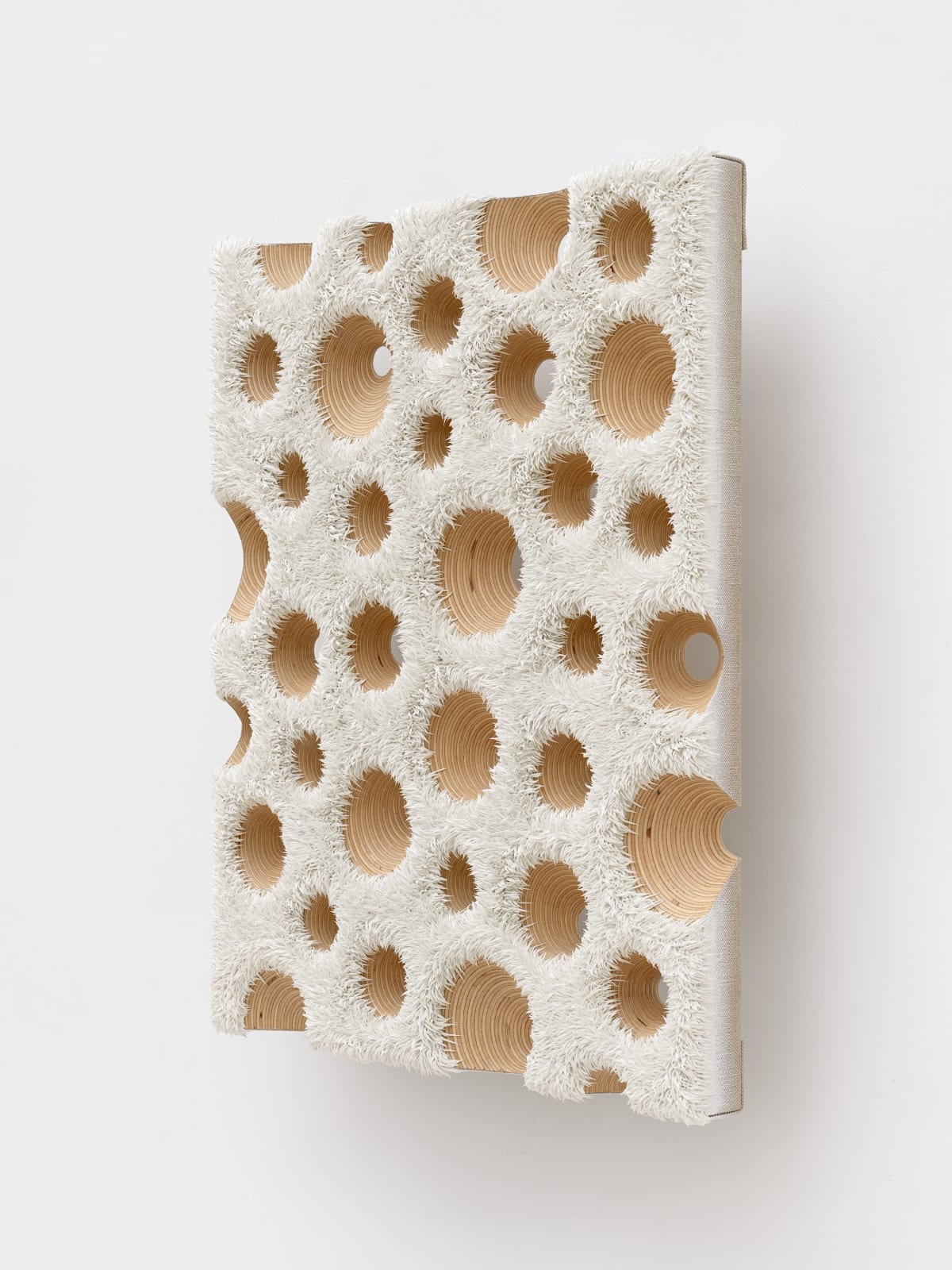 Donald Moffett, Lot 030525 (nature cult, arctic probe), 2025