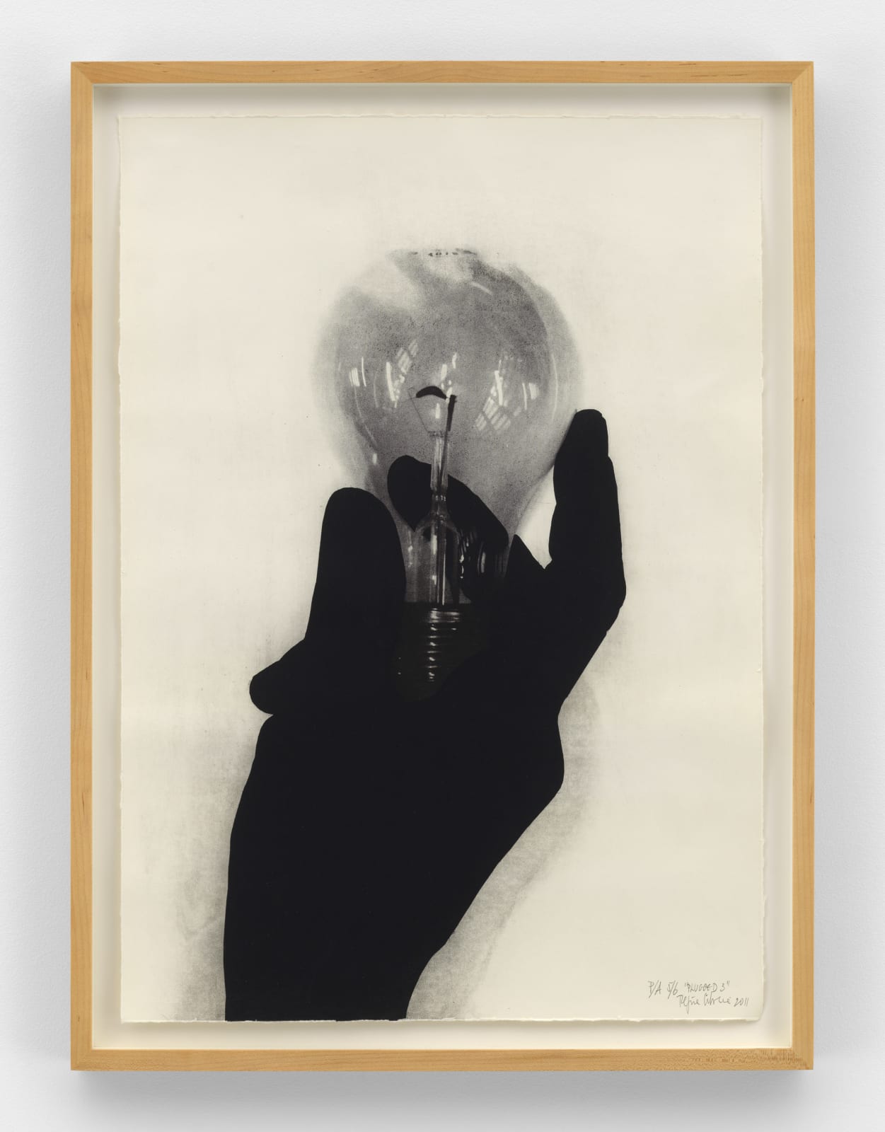 Regina Silveira, Plugged 1-3, 2011