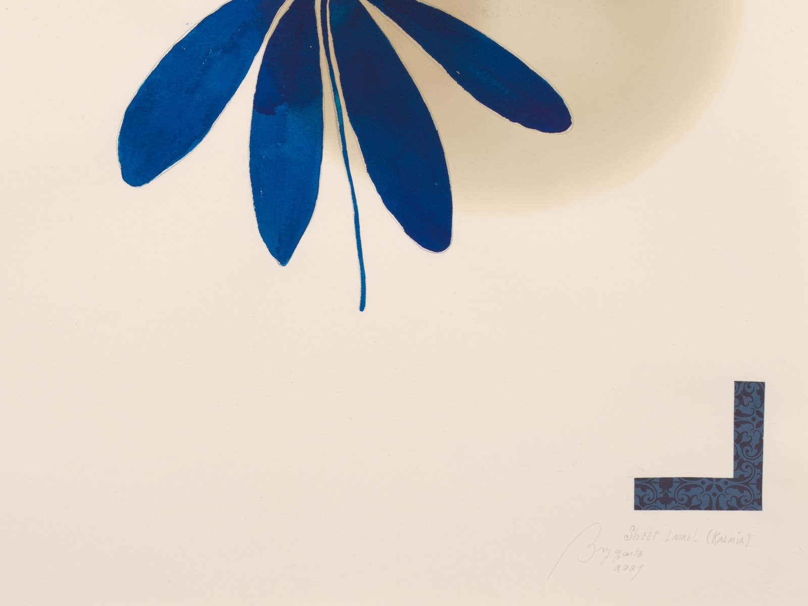 Ricardo Brey, Sheep Laurel, 2021