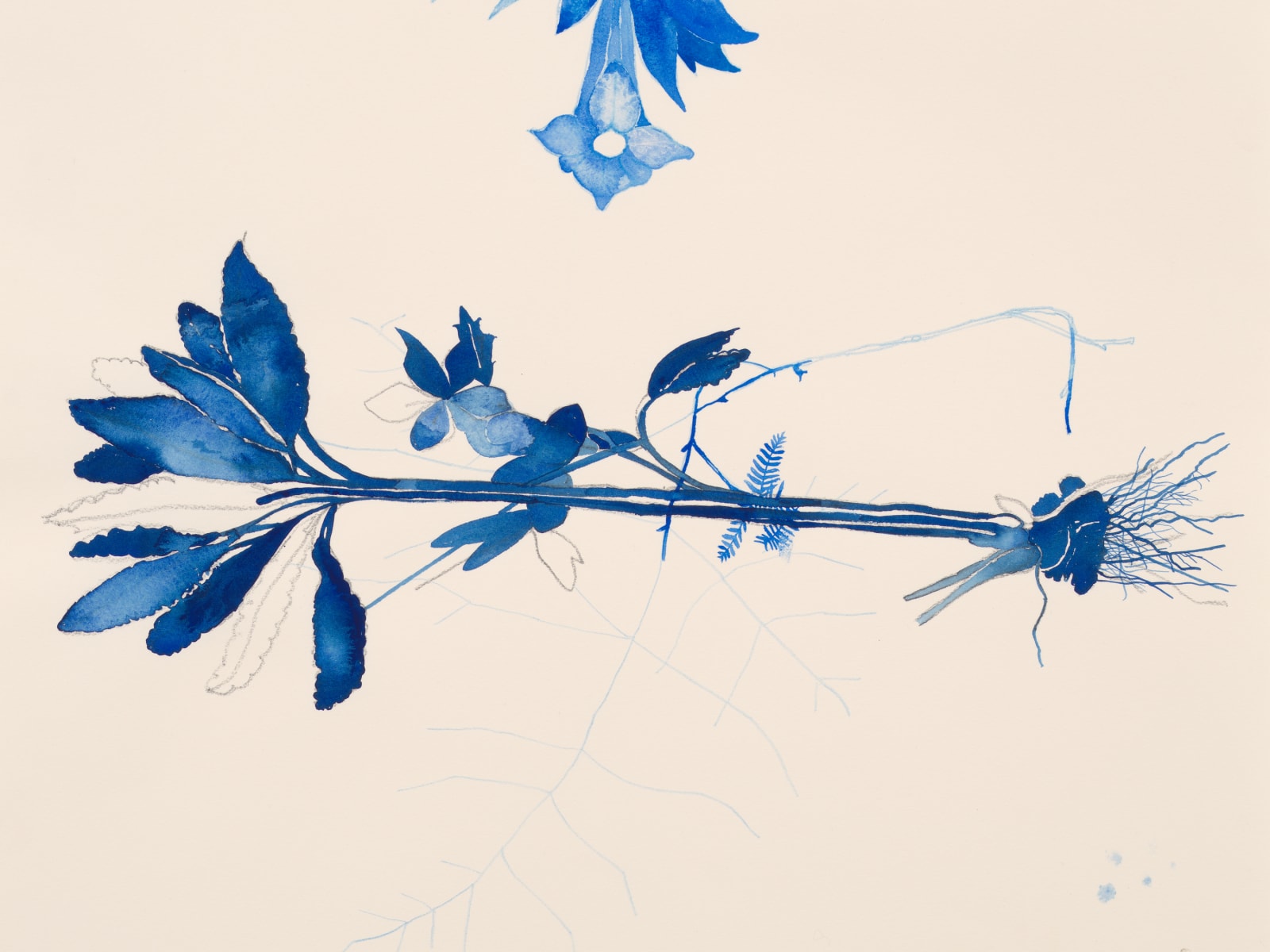 Ricardo Brey, Trumpet Roots, 2021