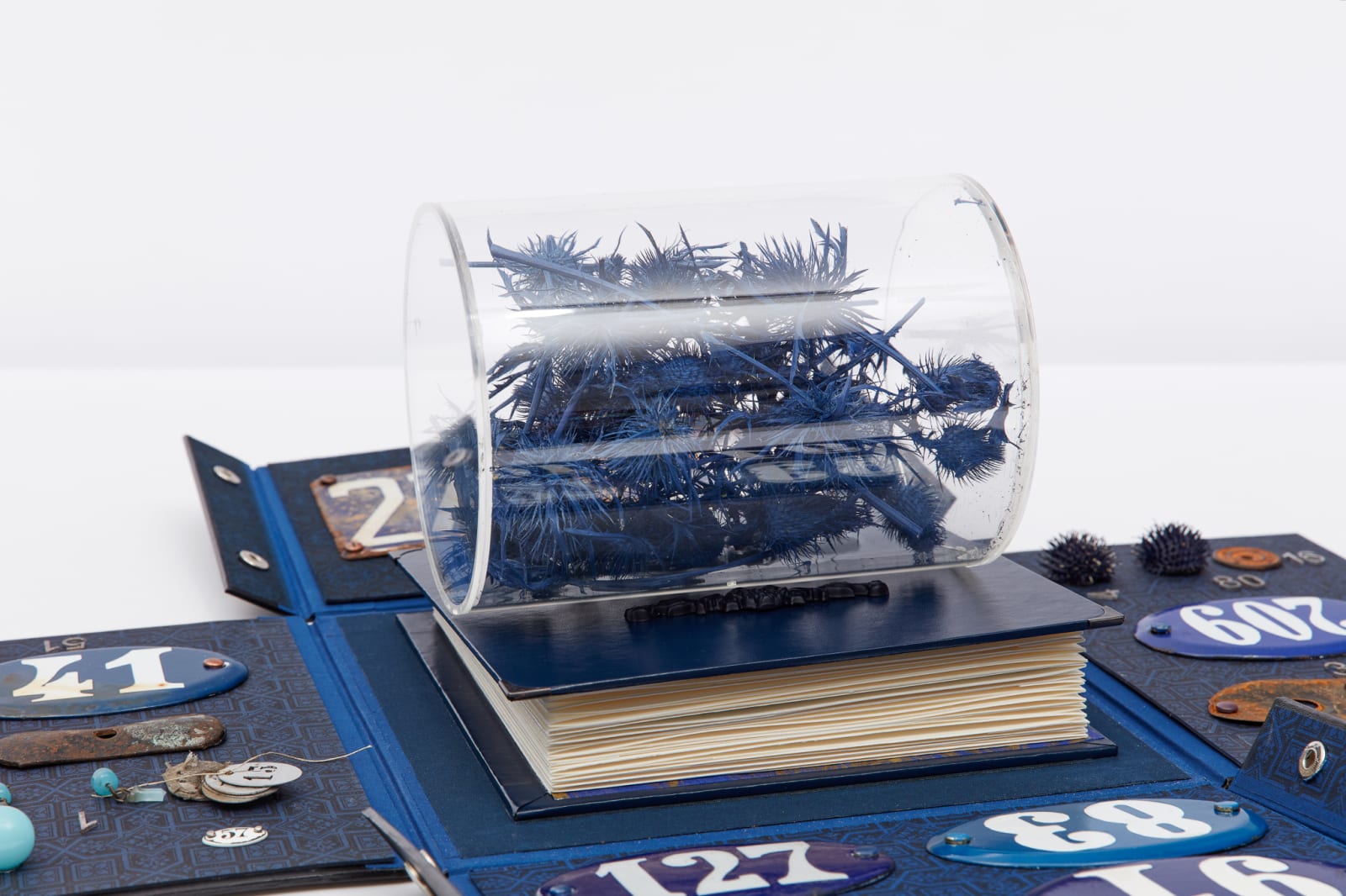 Ricardo Brey, The Numbers, 2021