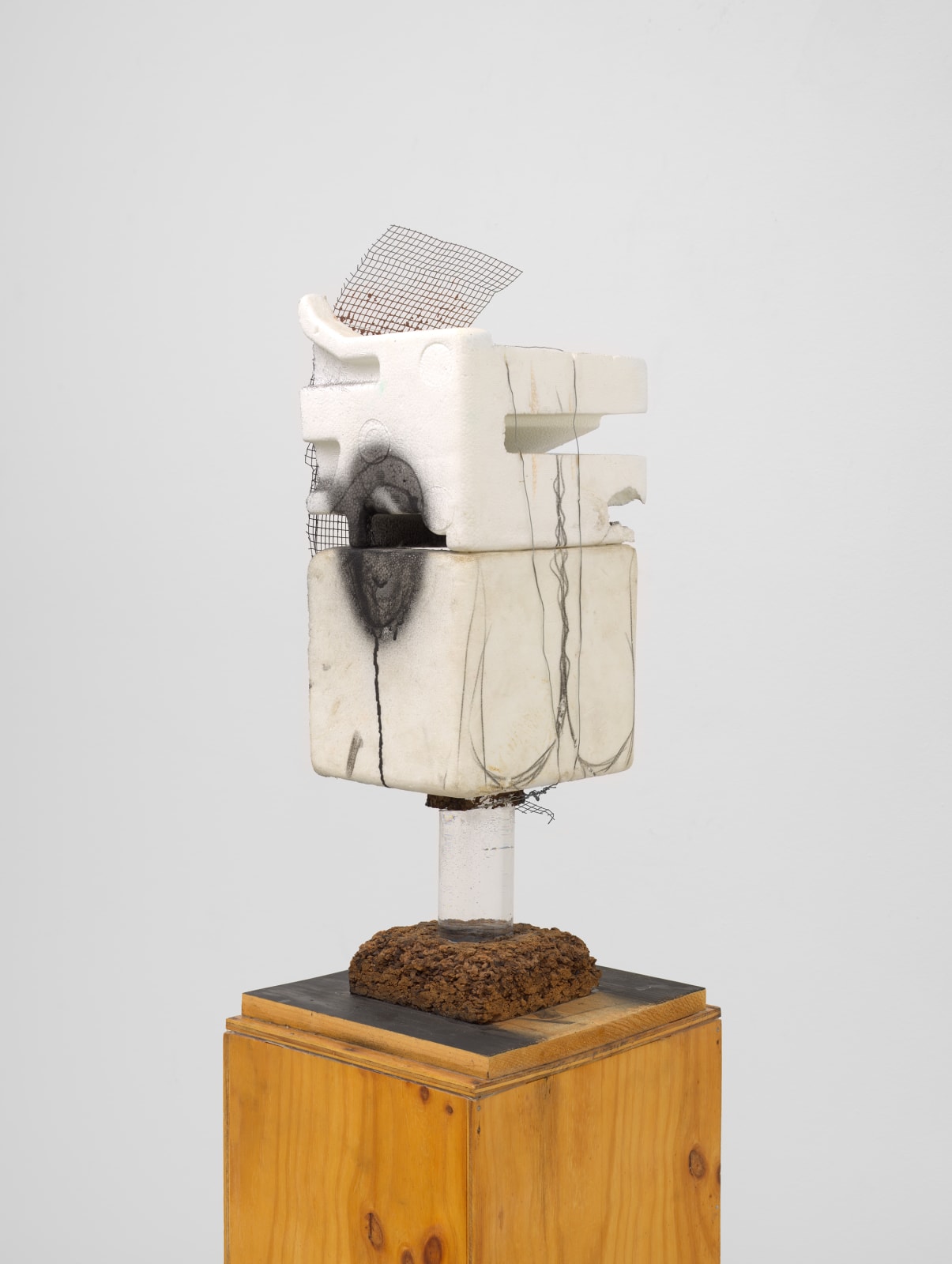 Huma Bhabha, Not About You, 2012
