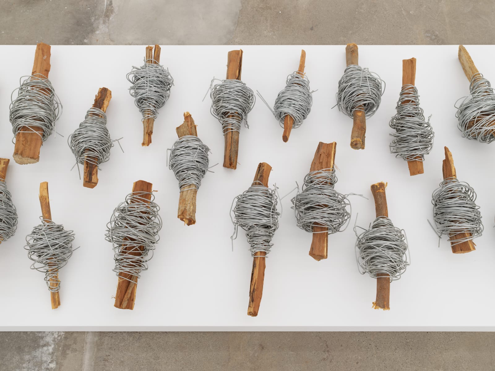 Hassan Sharif, Iron, 2013
