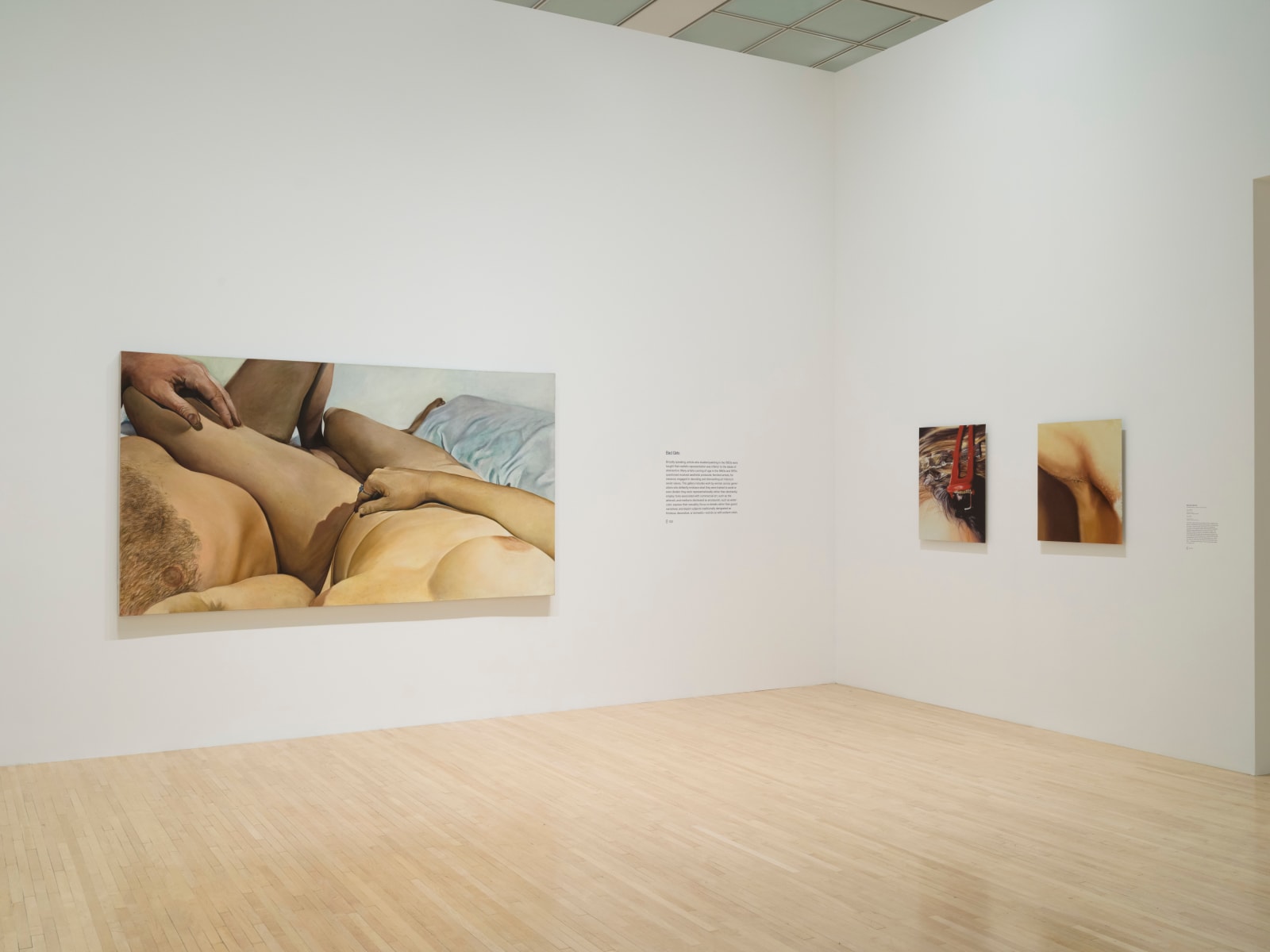 Joan Semmel, Touch, 1975