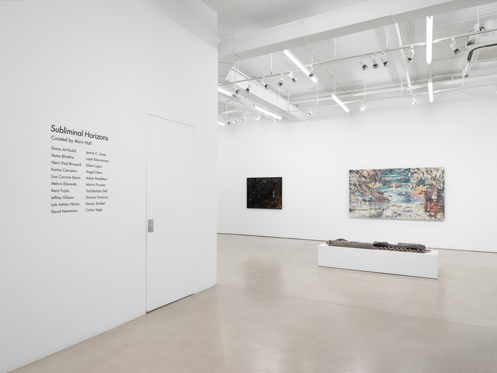 Xaviera Simmons, Thundersnow Road, 2010