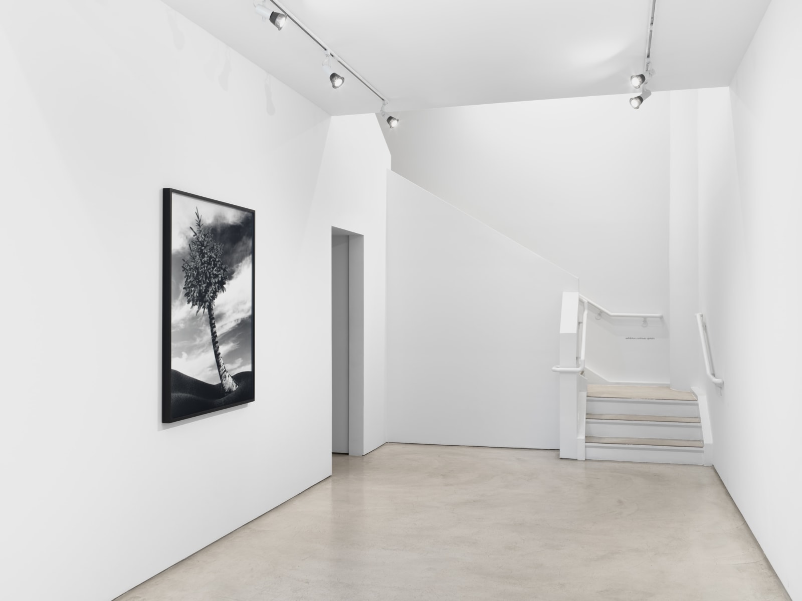 Lorraine O'Grady, The Fir-Palm, 1991/2019