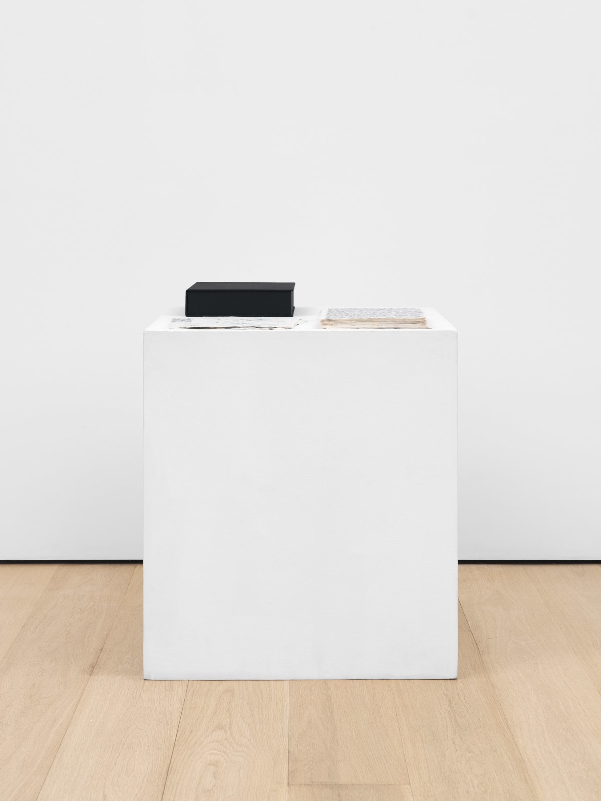 Bethany Collins, Or, the Whale, Vol. 3, 2024