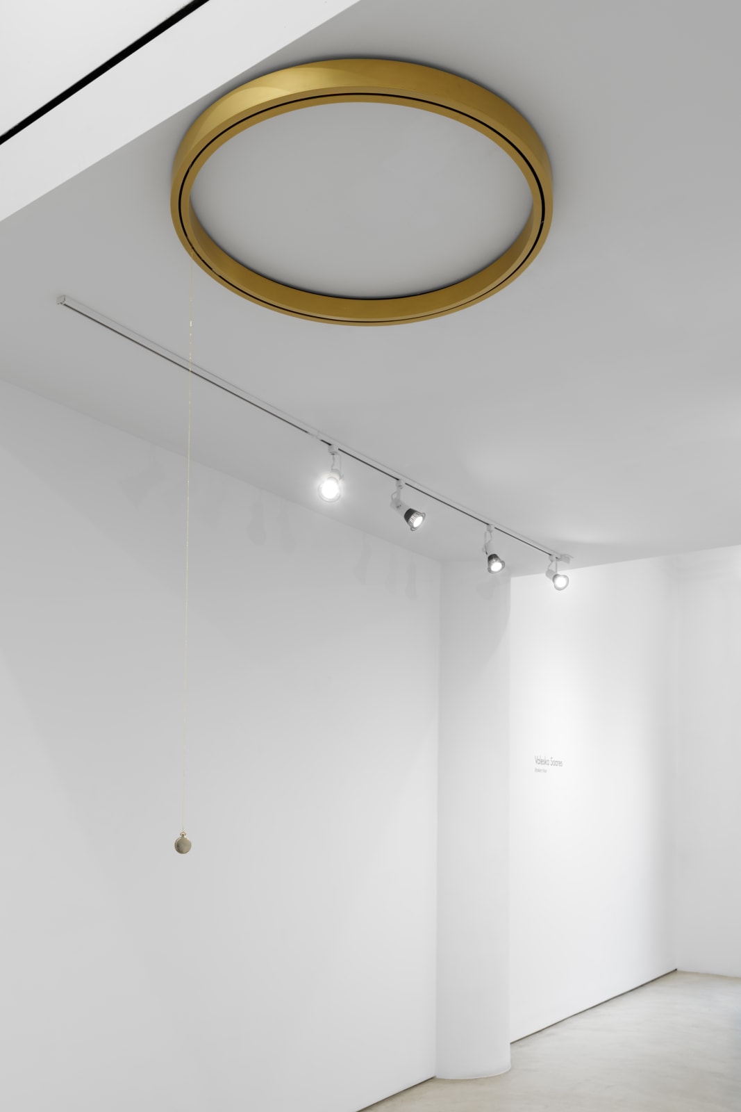 Valeska Soares, Ouroboros, 2014