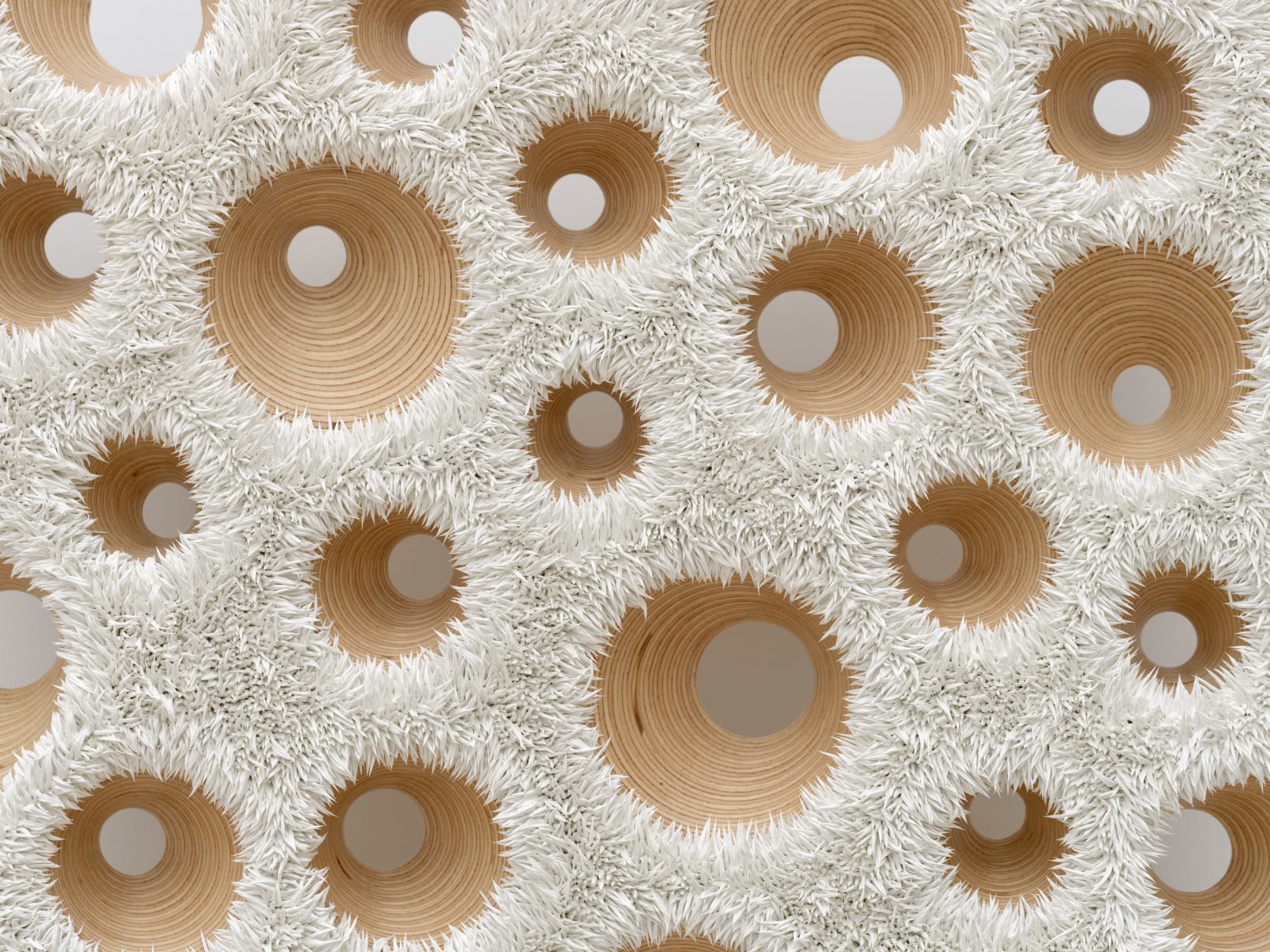 Donald Moffett, Lot 030525 (nature cult, arctic probe), 2025