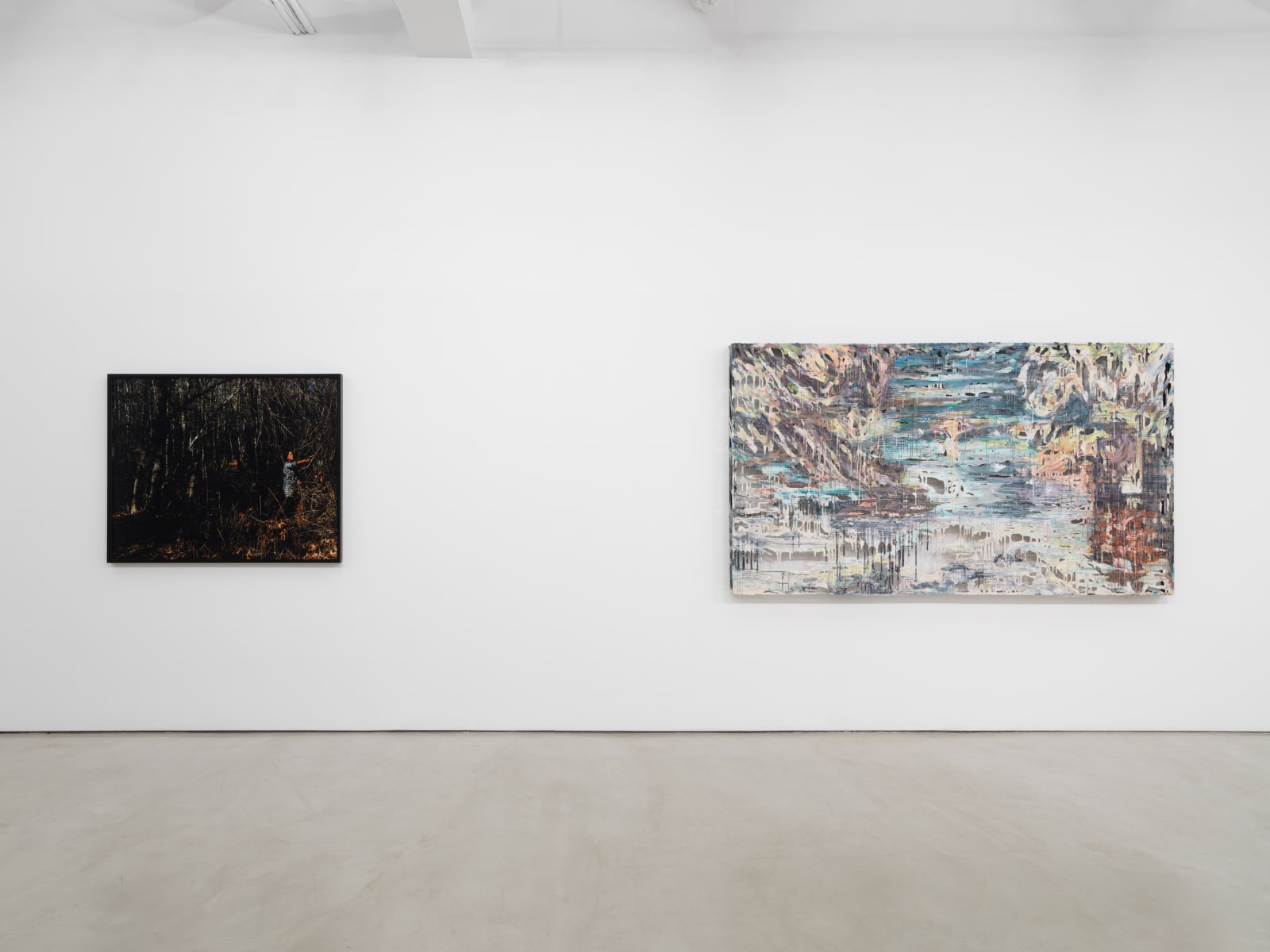 Xaviera Simmons, Thundersnow Road, 2010