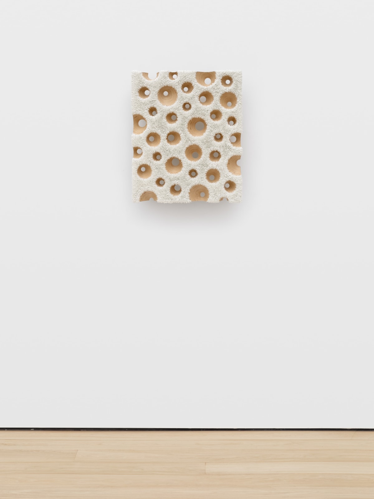 Donald Moffett, Lot 030525 (nature cult, arctic probe), 2025