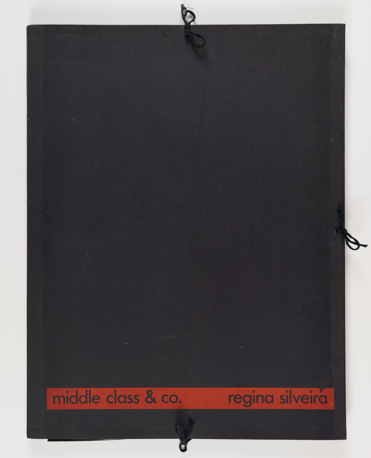 Regina Silveira, Middle Class & Co., 1971