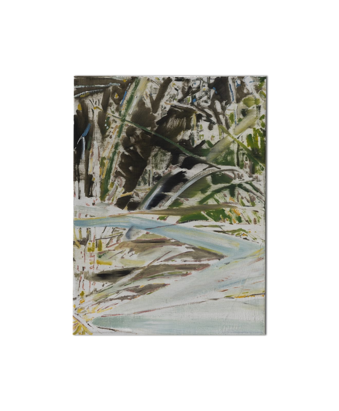 Bram Kinsbergen, Botanical studies (03), 2023